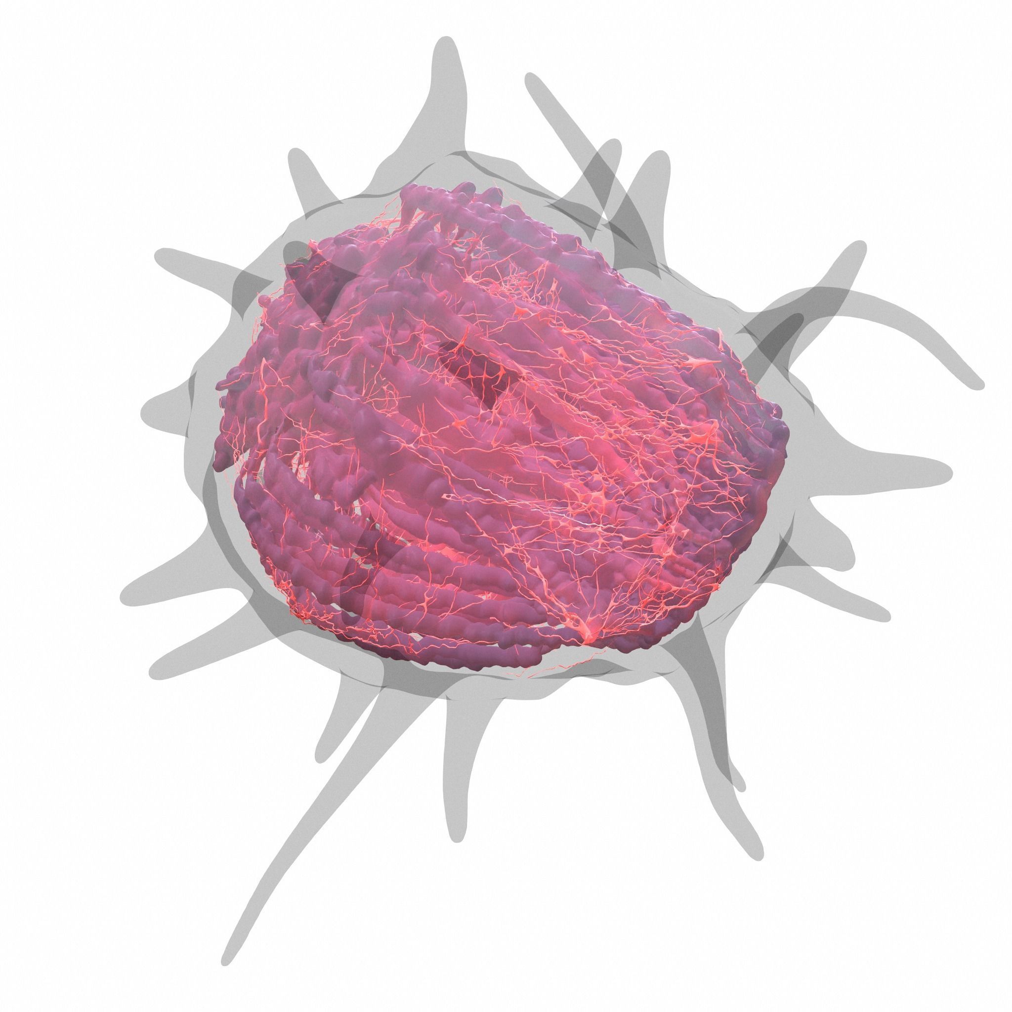 Cancer Cell 3D model_6