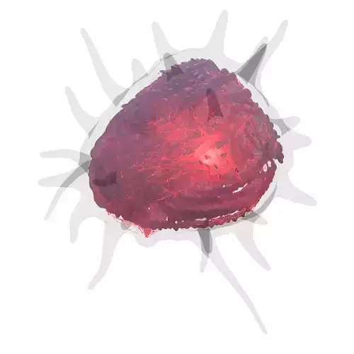 Cancer Cell 3D model