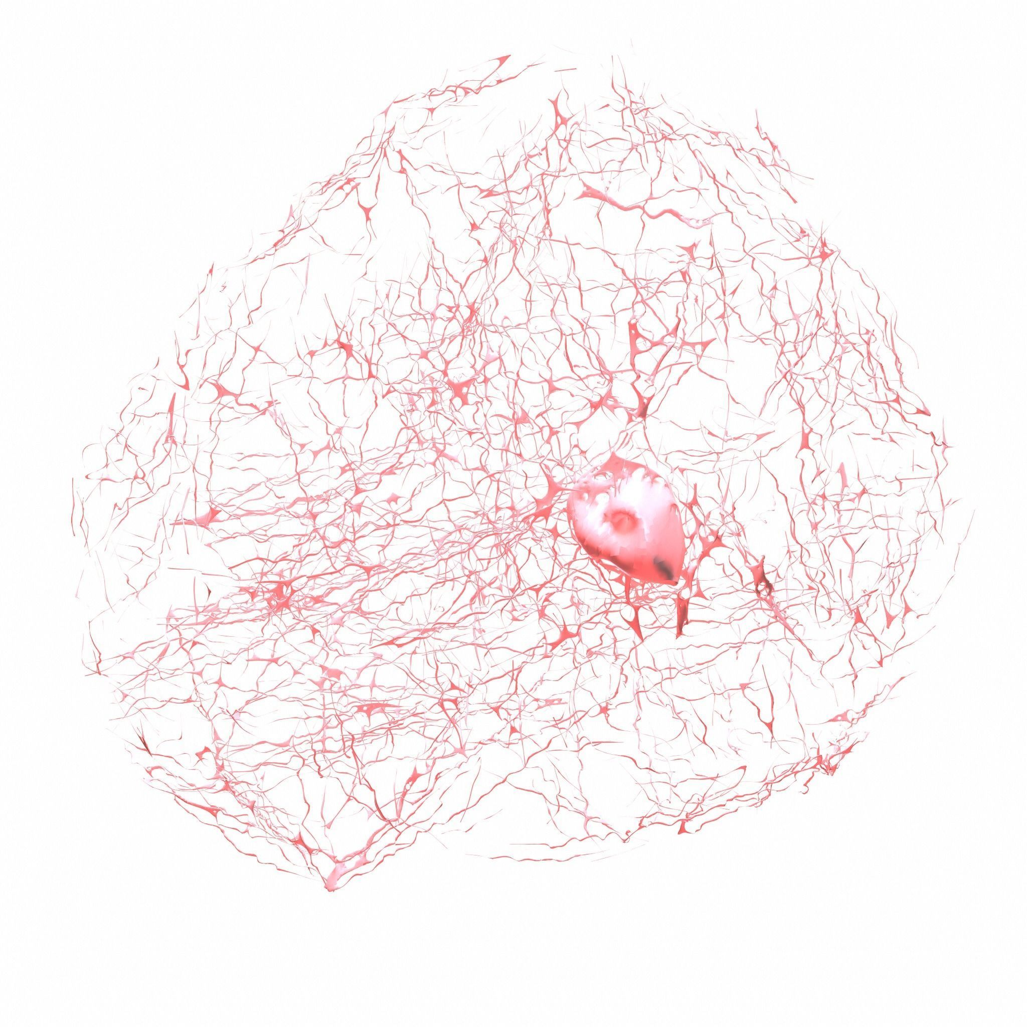 Cancer Cell 3D model_4
