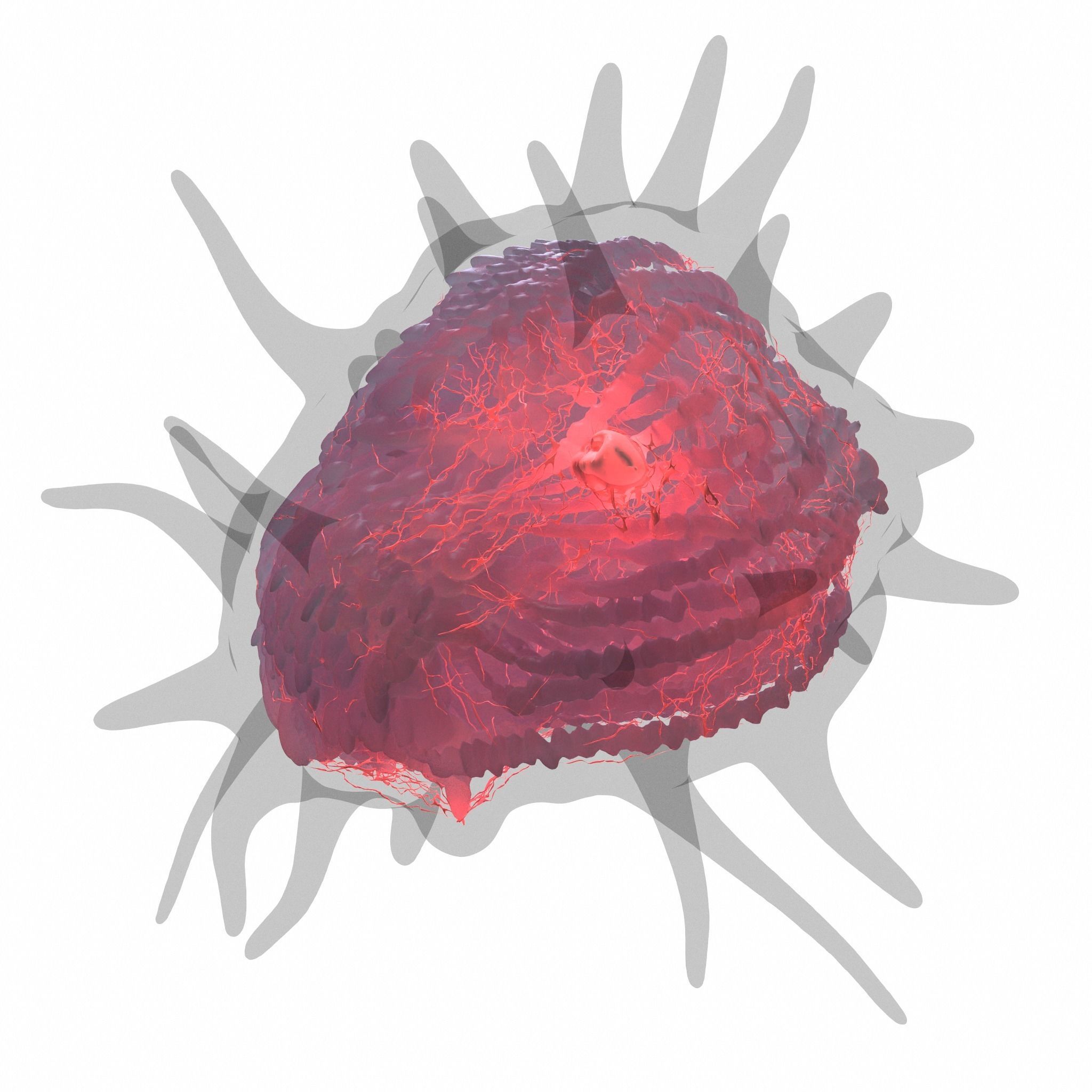 Cancer Cell 3D model_5