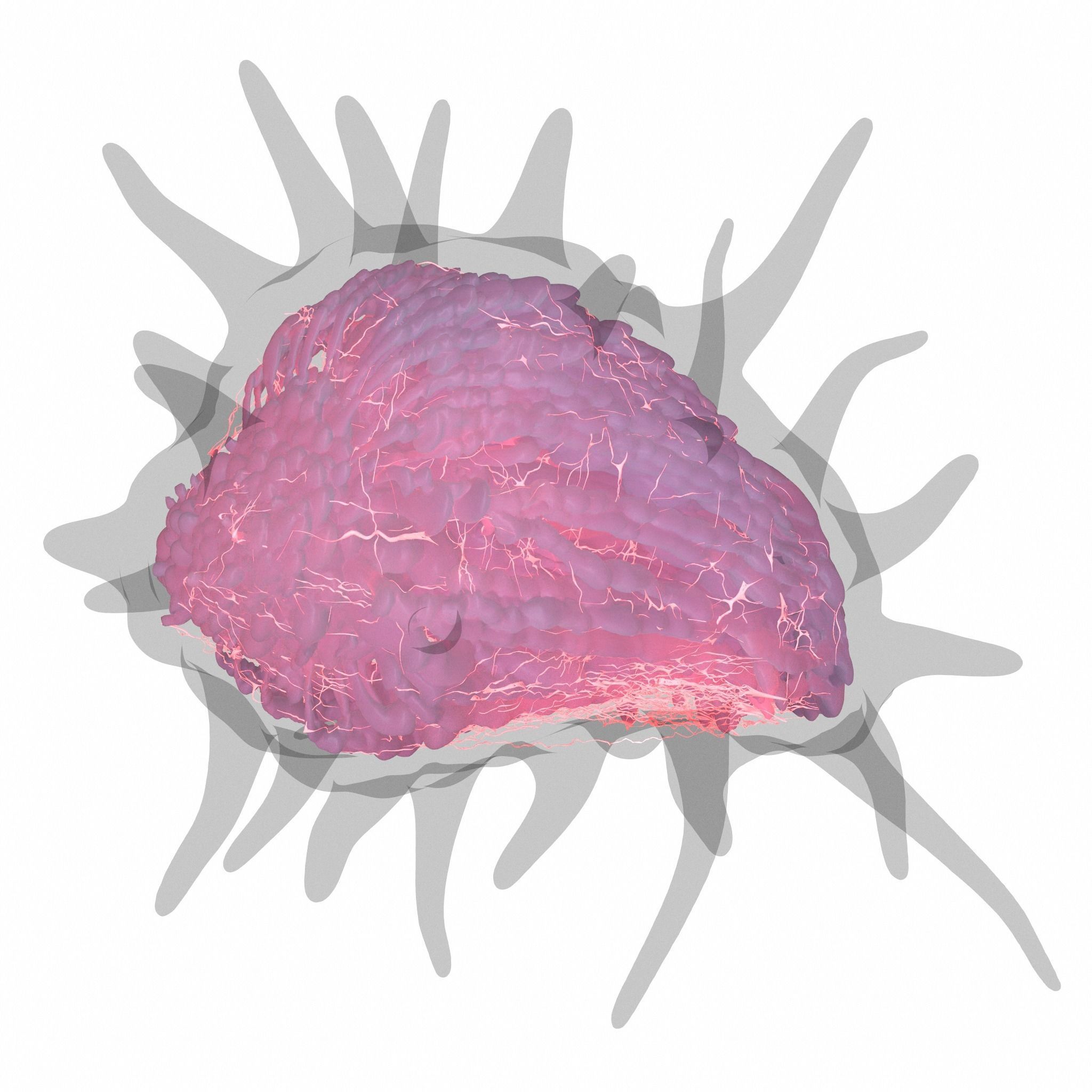 Cancer Cell 3D model_1