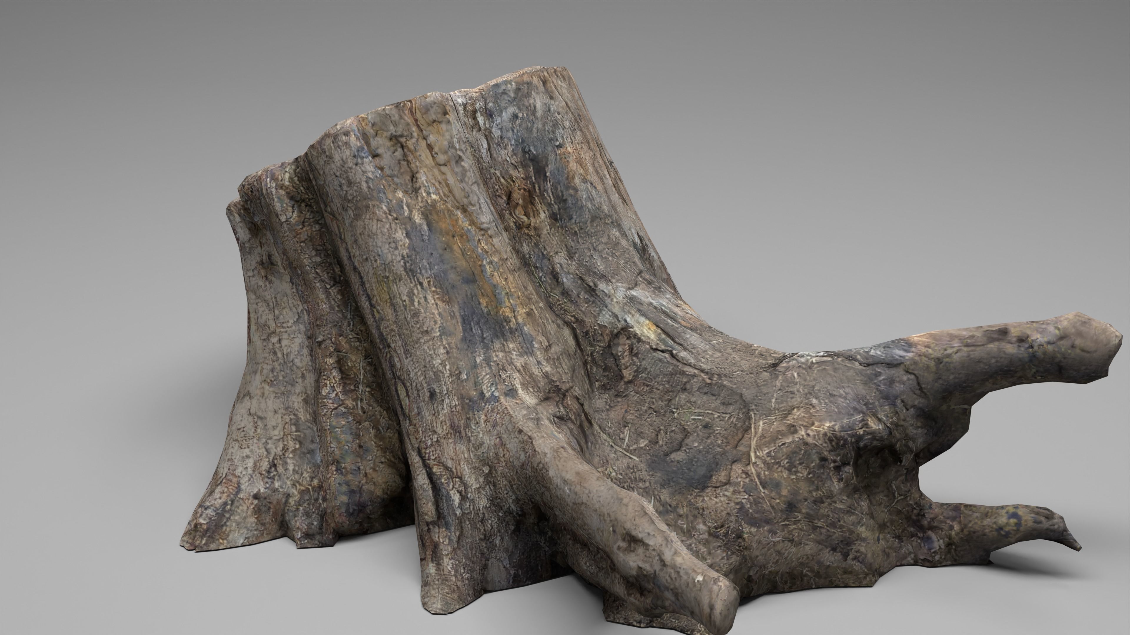 Tree Stump 005 Photoscan PBR Game Ready Low-poly 3D model_11