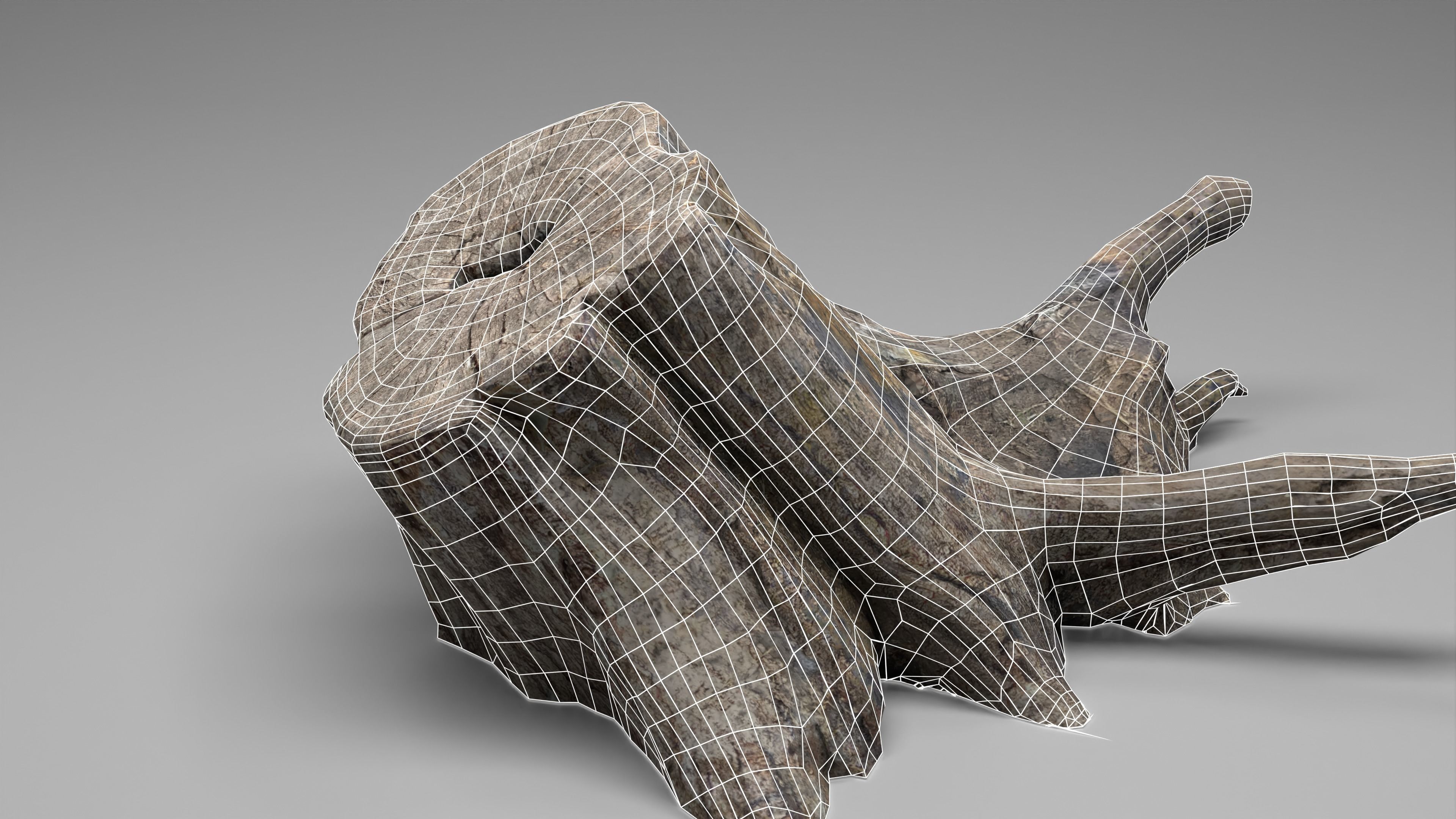 Tree Stump 005 Photoscan PBR Game Ready Low-poly 3D model_16