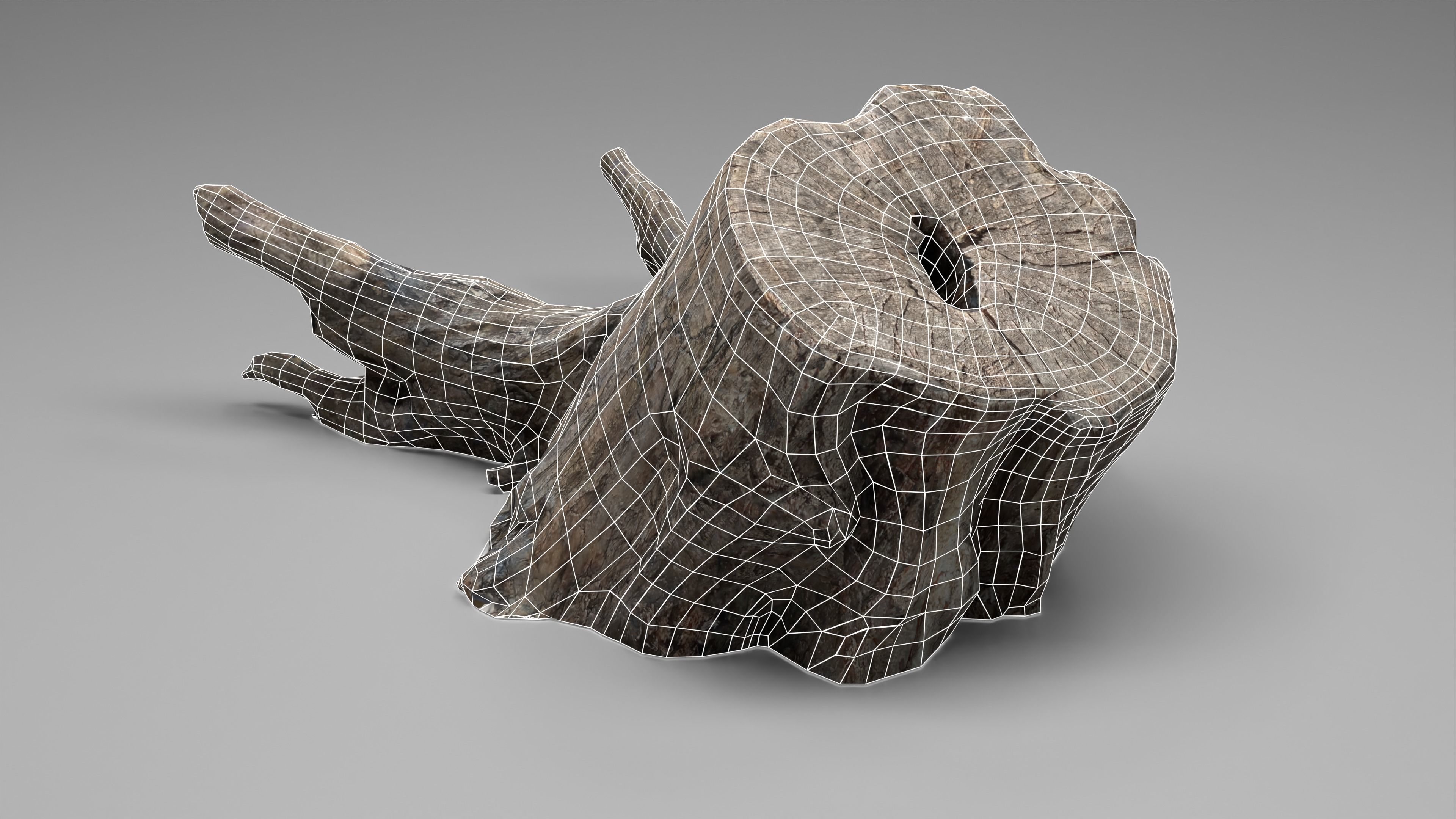 Tree Stump 005 Photoscan PBR Game Ready Low-poly 3D model_24