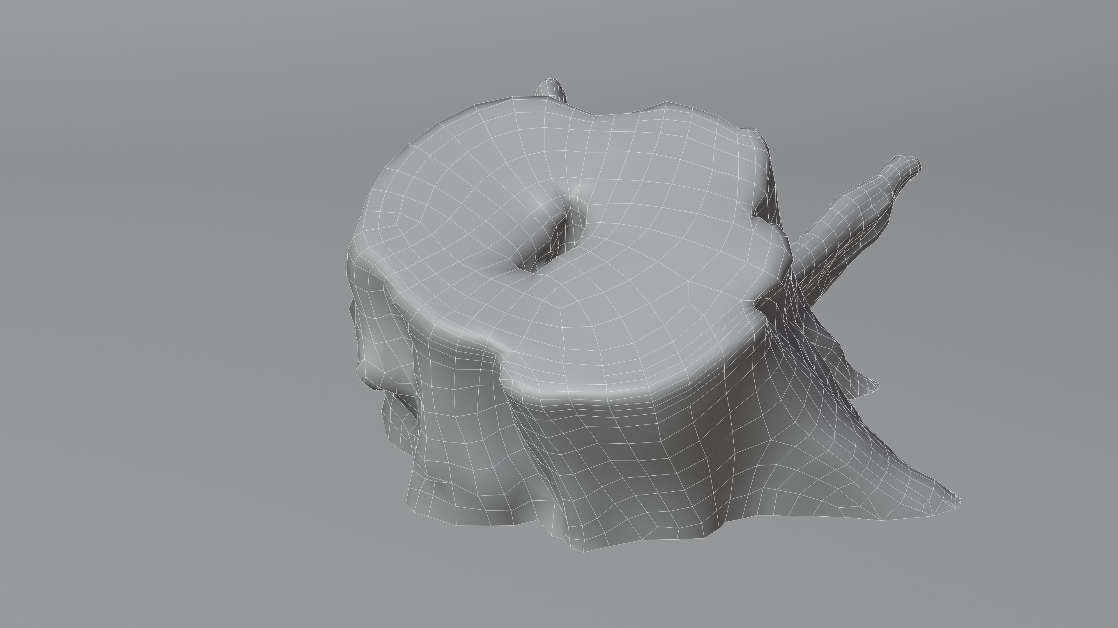 Tree Stump 005 Photoscan PBR Game Ready Low-poly 3D model_22