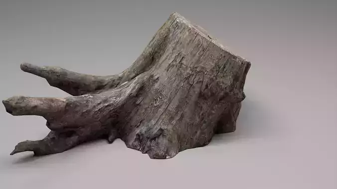 Tree Stump 005 Photoscan PBR Game Ready Low-poly 3D model