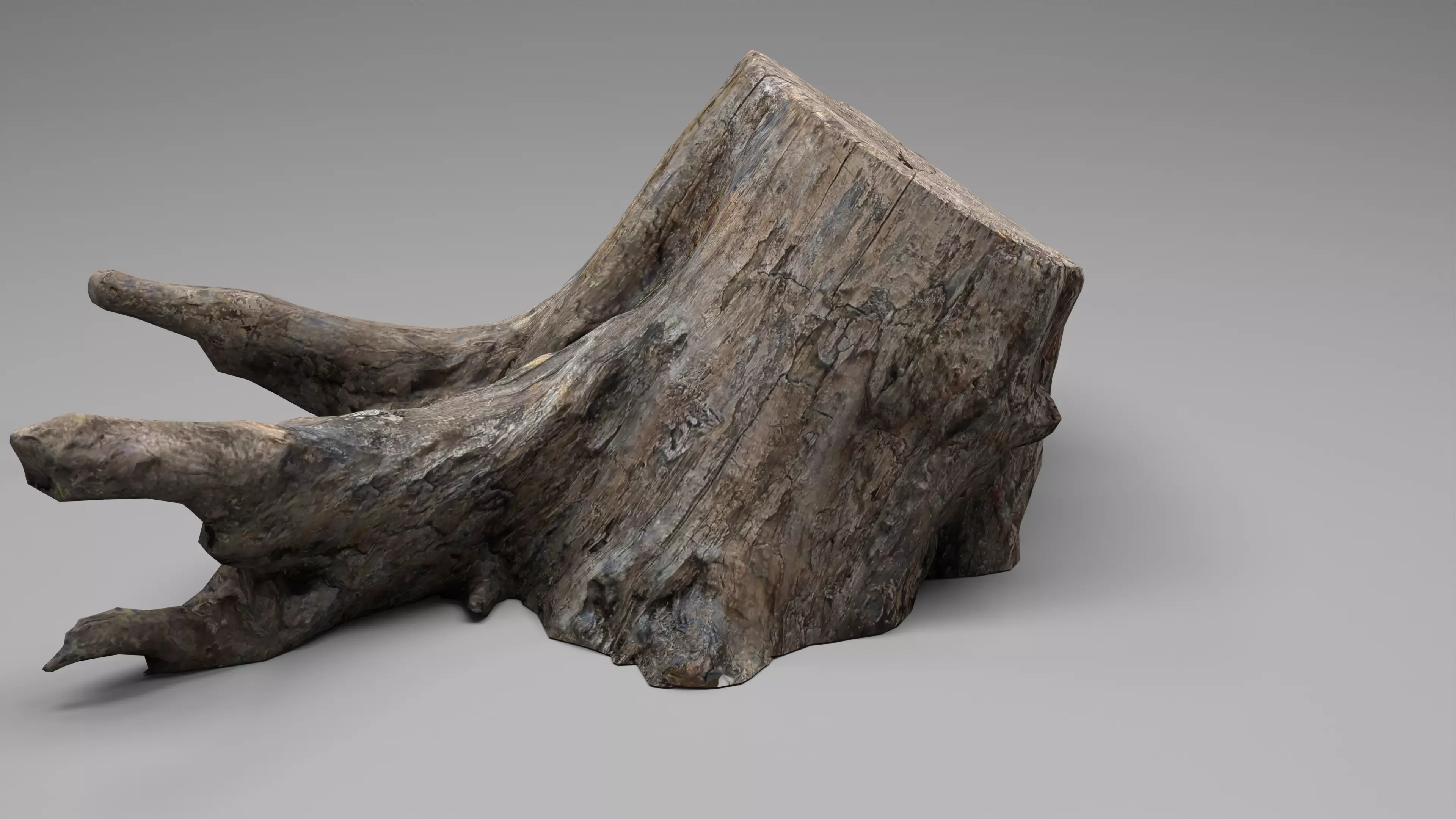 Tree Stump 005 Photoscan PBR Game Ready Low-poly 3D model_0