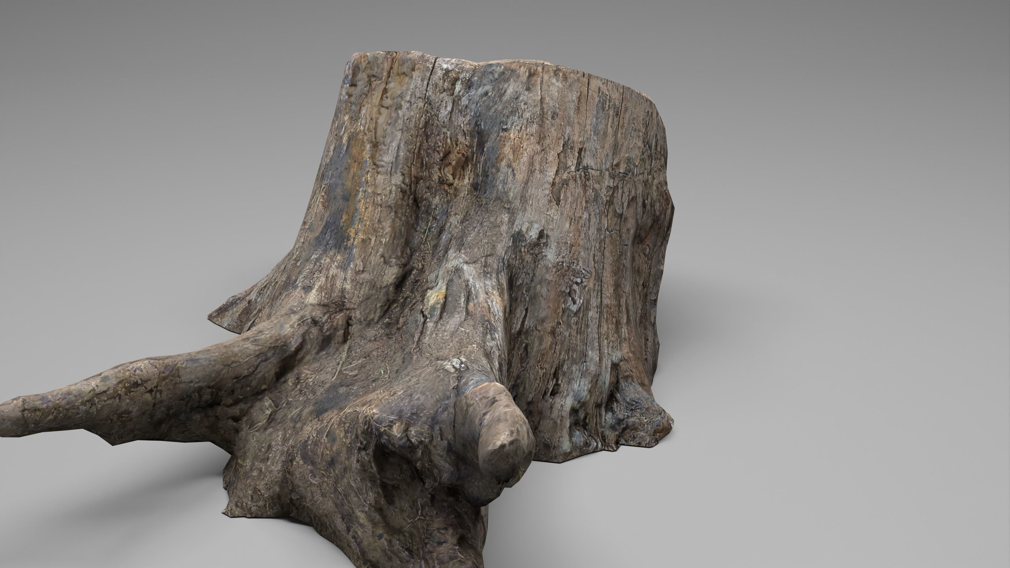 Tree Stump 005 Photoscan PBR Game Ready Low-poly 3D model_7