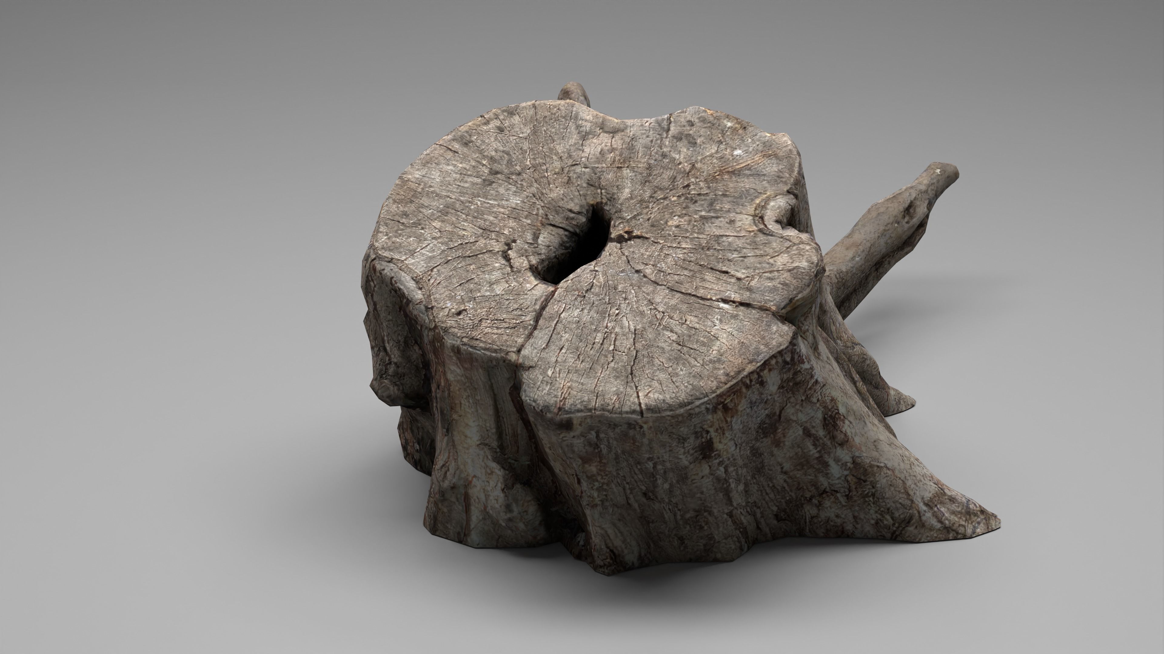 Tree Stump 005 Photoscan PBR Game Ready Low-poly 3D model_19