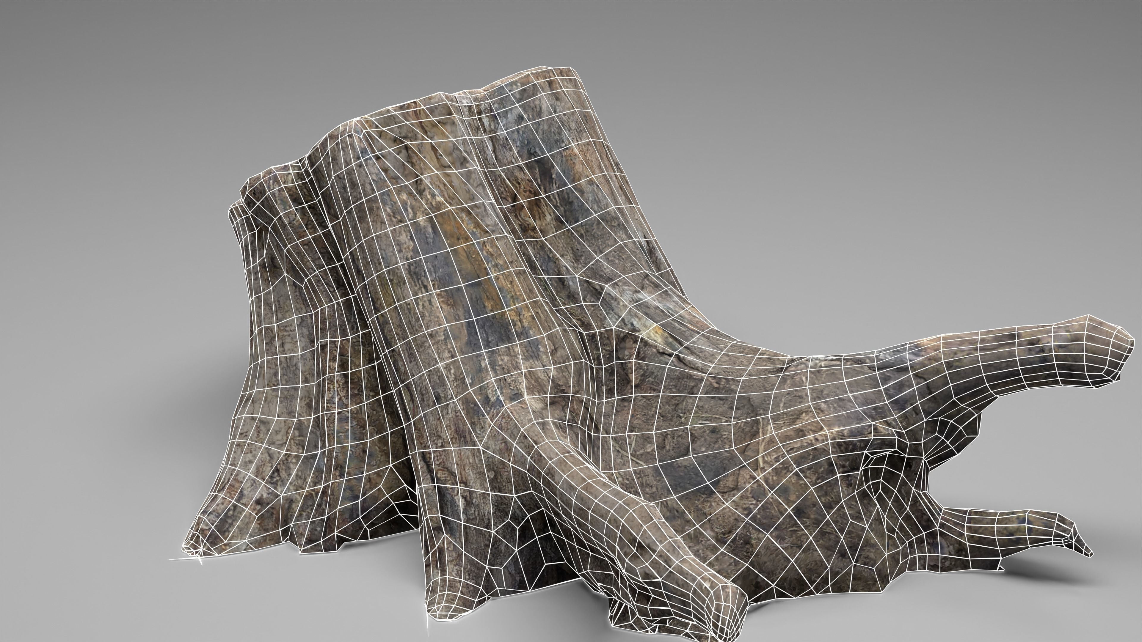 Tree Stump 005 Photoscan PBR Game Ready Low-poly 3D model_12