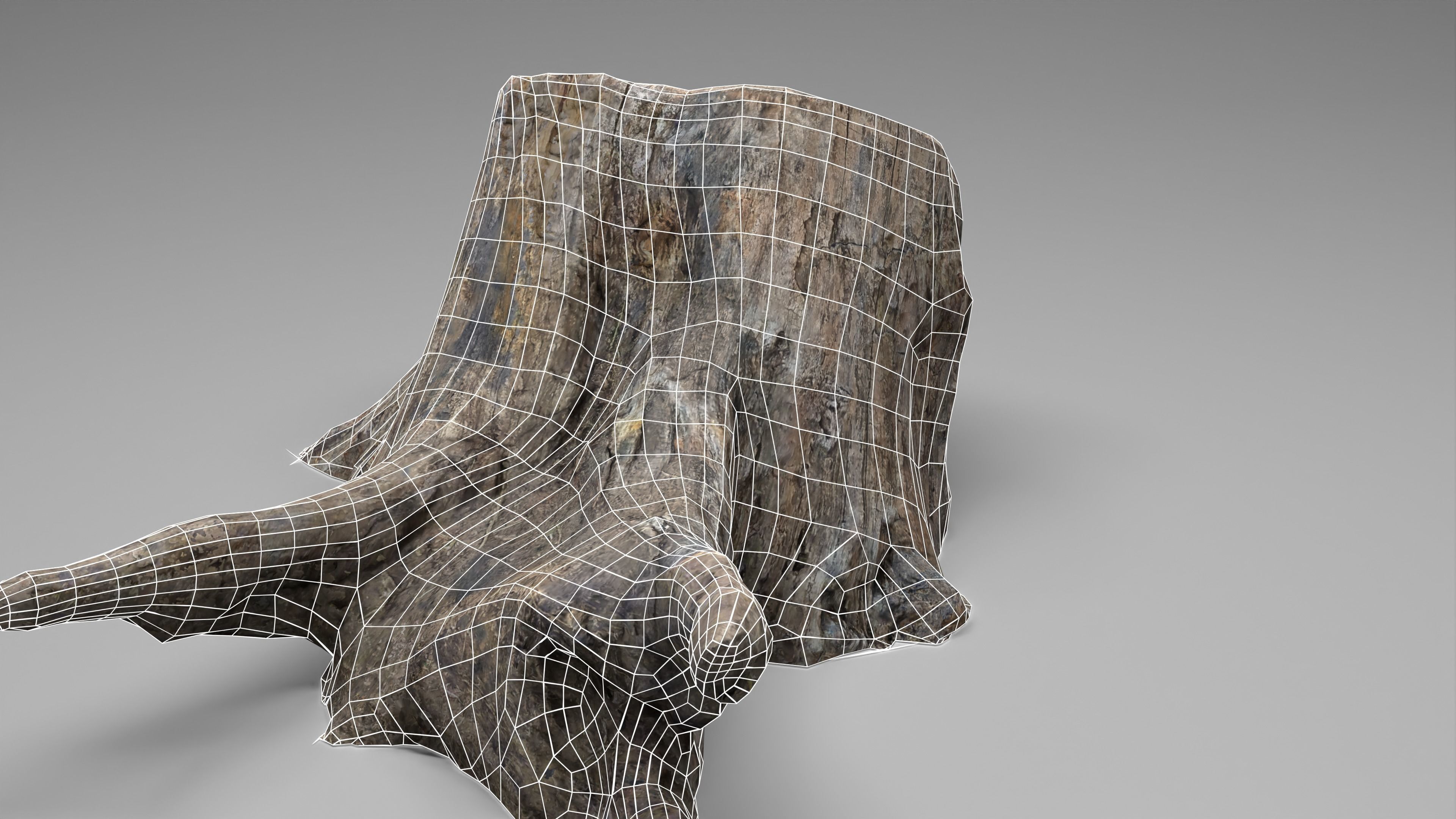 Tree Stump 005 Photoscan PBR Game Ready Low-poly 3D model_8