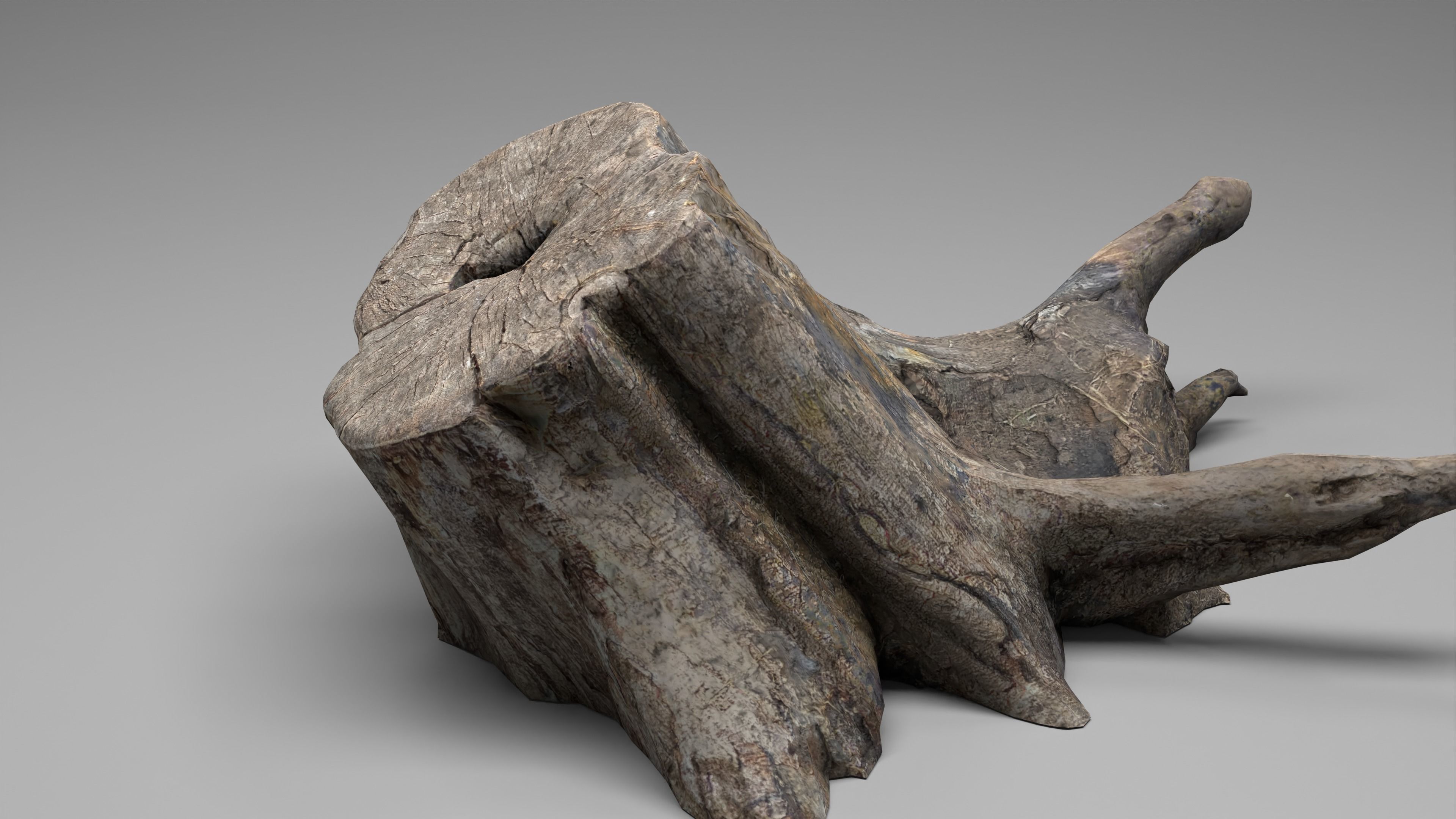 Tree Stump 005 Photoscan PBR Game Ready Low-poly 3D model_15
