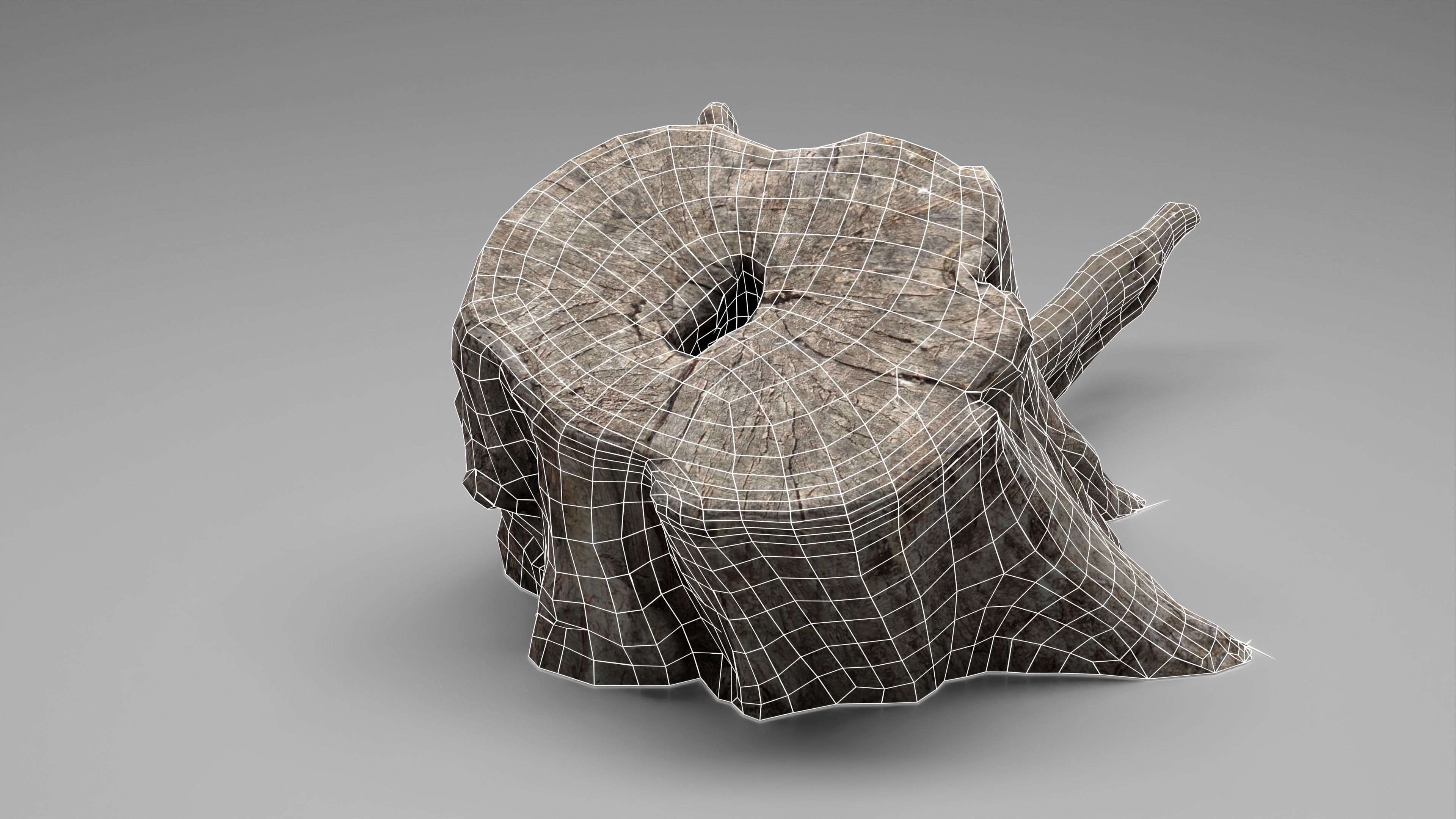 Tree Stump 005 Photoscan PBR Game Ready Low-poly 3D model_20