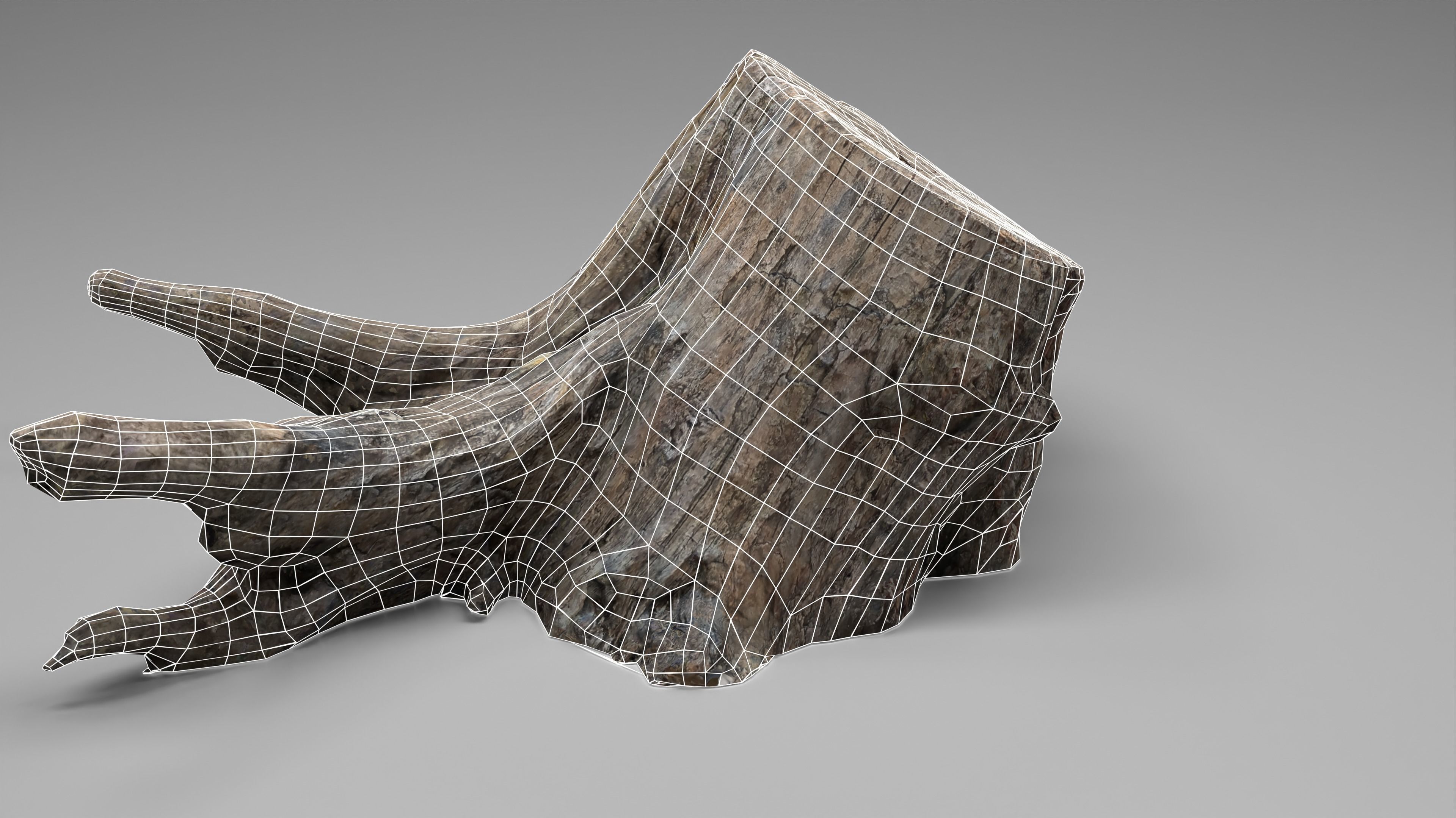 Tree Stump 005 Photoscan PBR Game Ready Low-poly 3D model_4