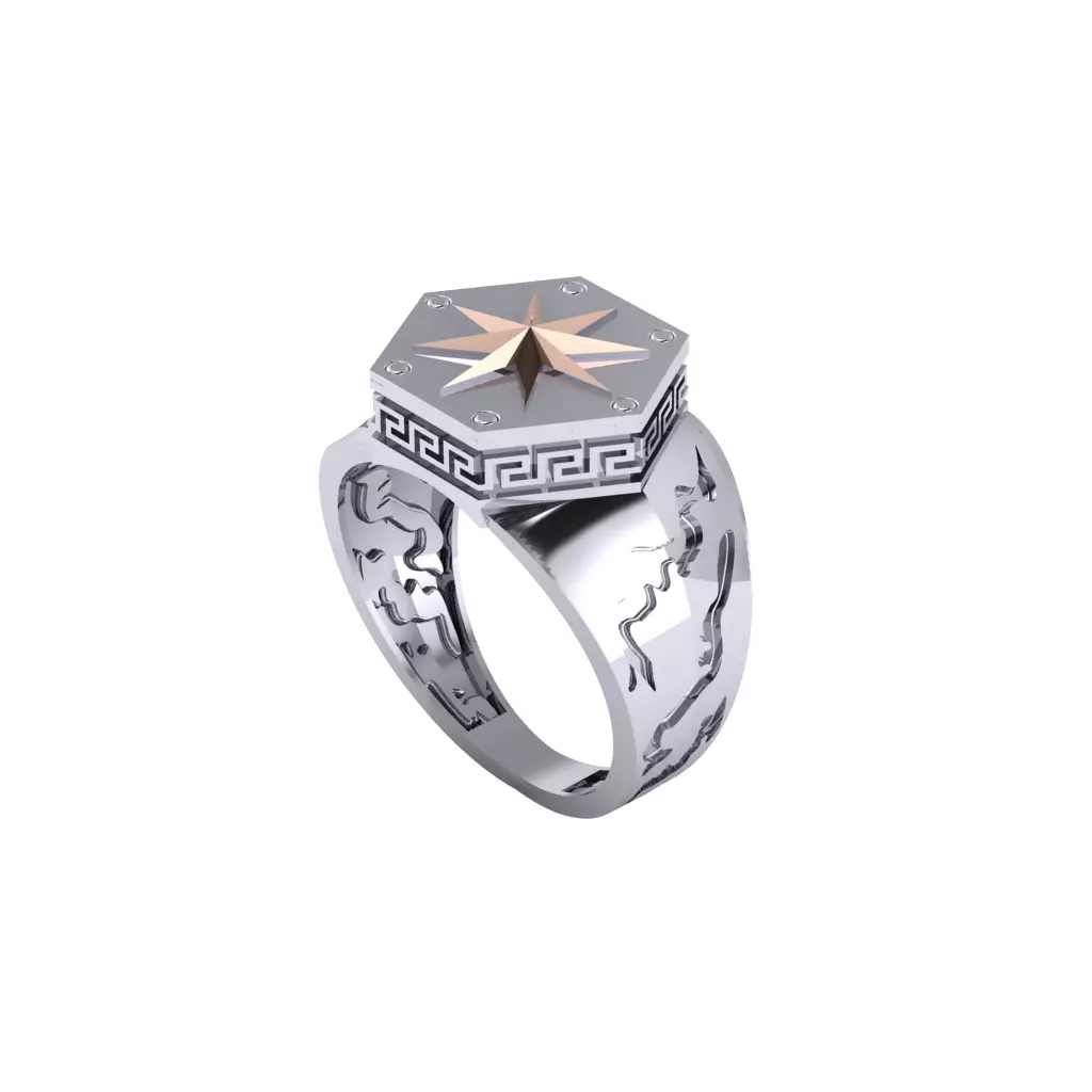 Man ring 3D printable for gold and silver 3D print model_0