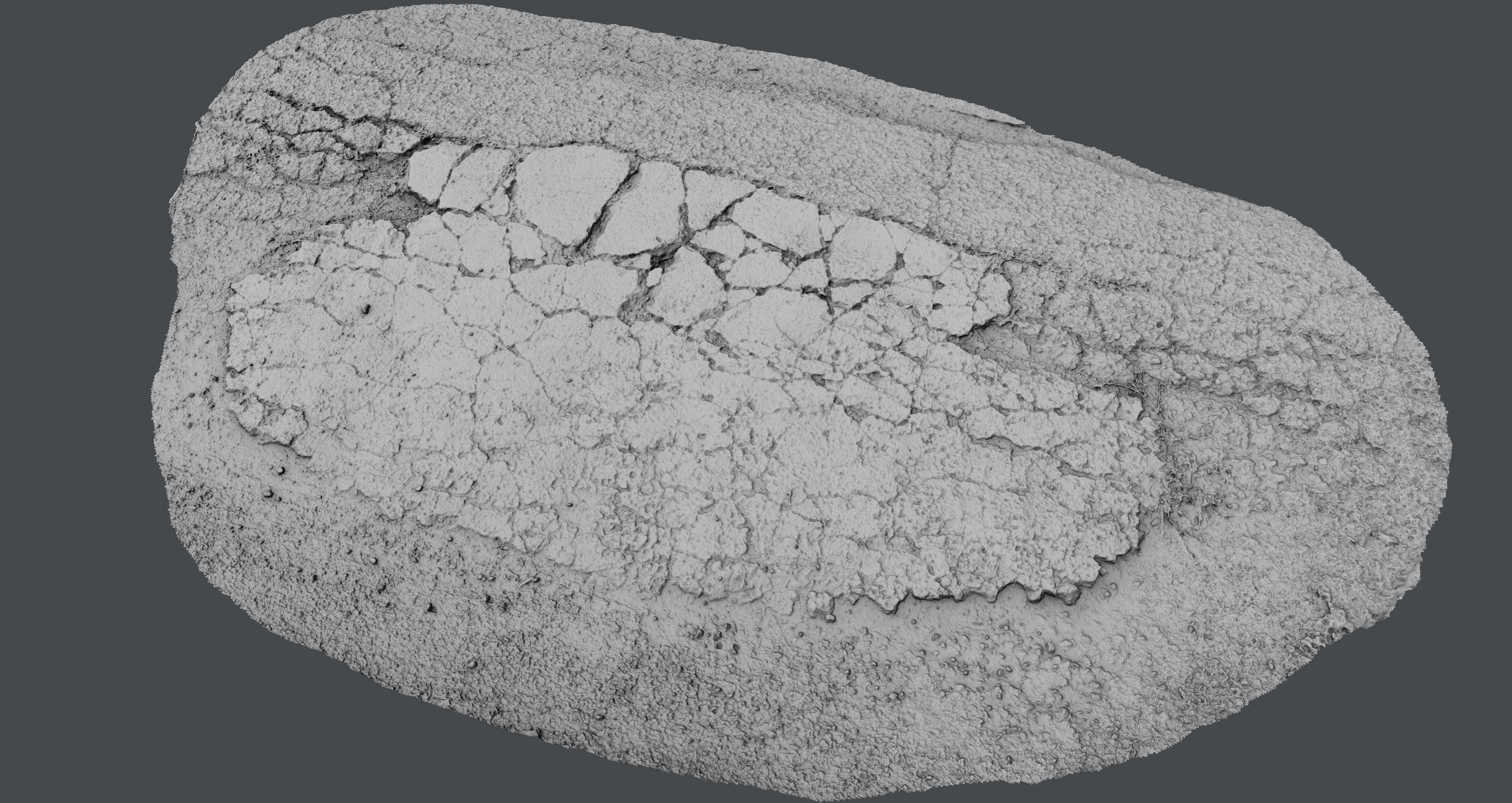 Roadcracks03 asphalt texture - asphalt texture 3D model_2