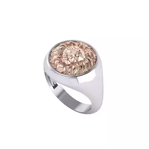 Man ring 3D printable for gold and silver 3D print model
