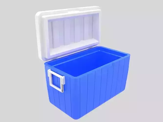 Camping cooler