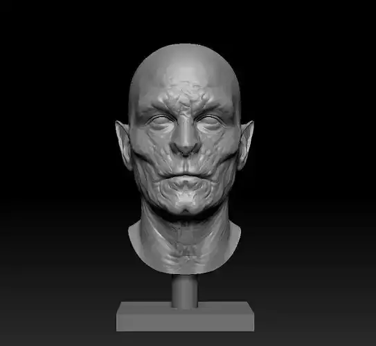  Vampire head bust based on Bram Stokers Dracula