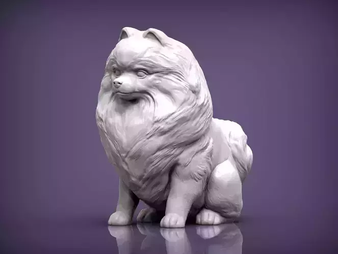 Pomeranian sculpture of dog 3D print model