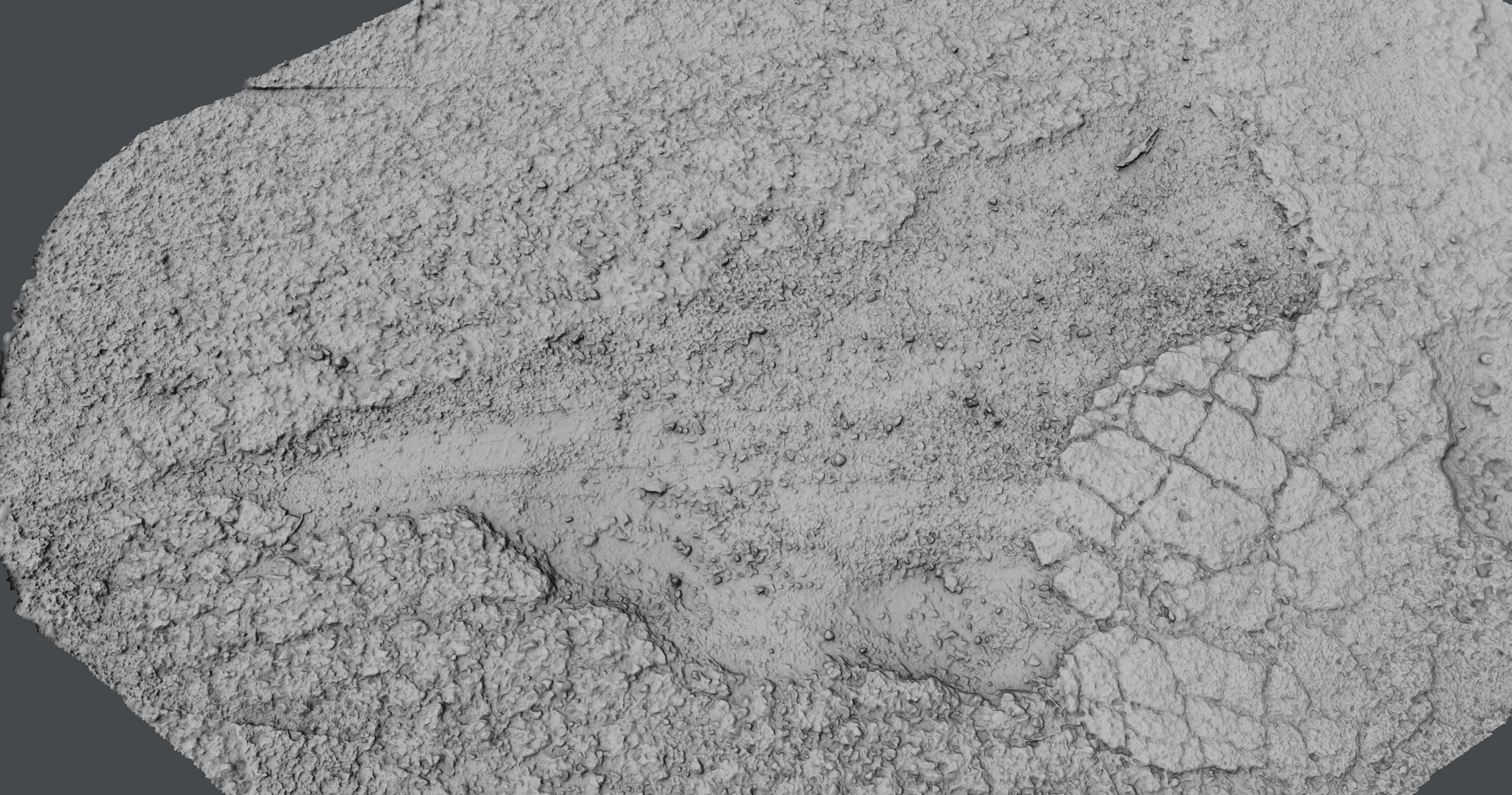 Roadcracks04 rock 3D model_5