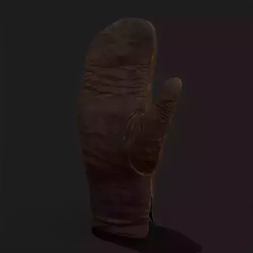 Old Worn Leather Mitten