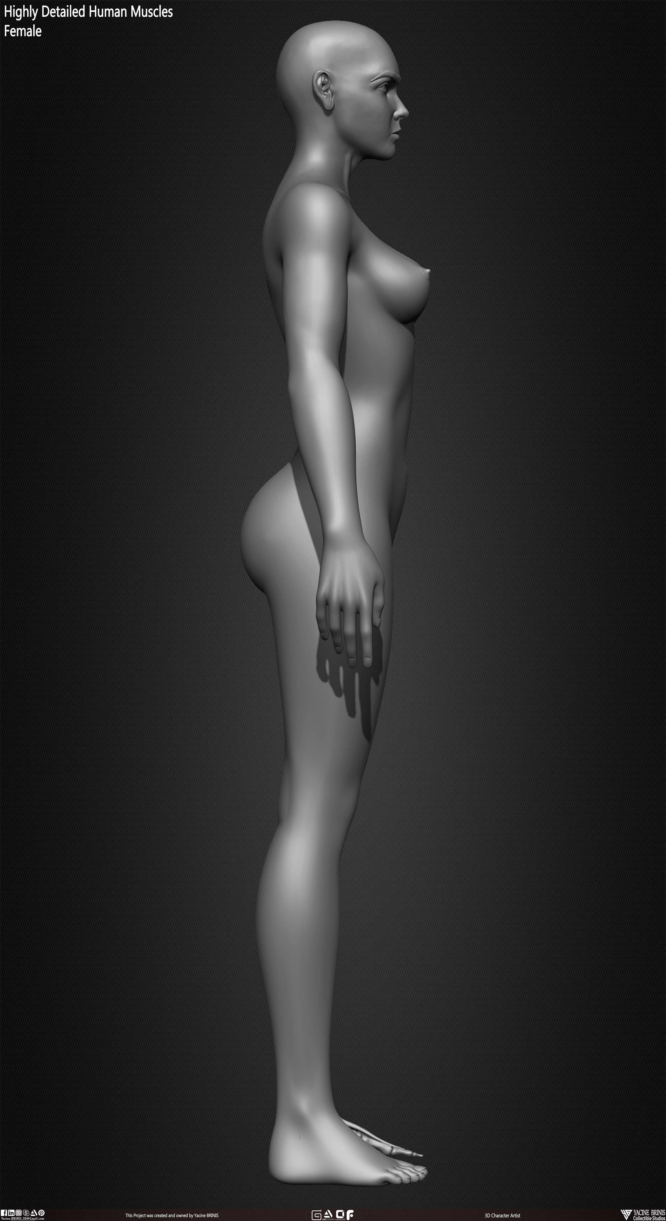 Highly Detailed Human Female Muscles Low-poly 3D model_17