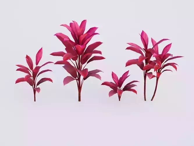 CordylineFruticosa group of plants