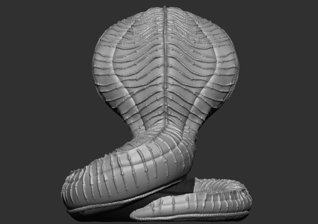 Serpent Model 3D print model_14