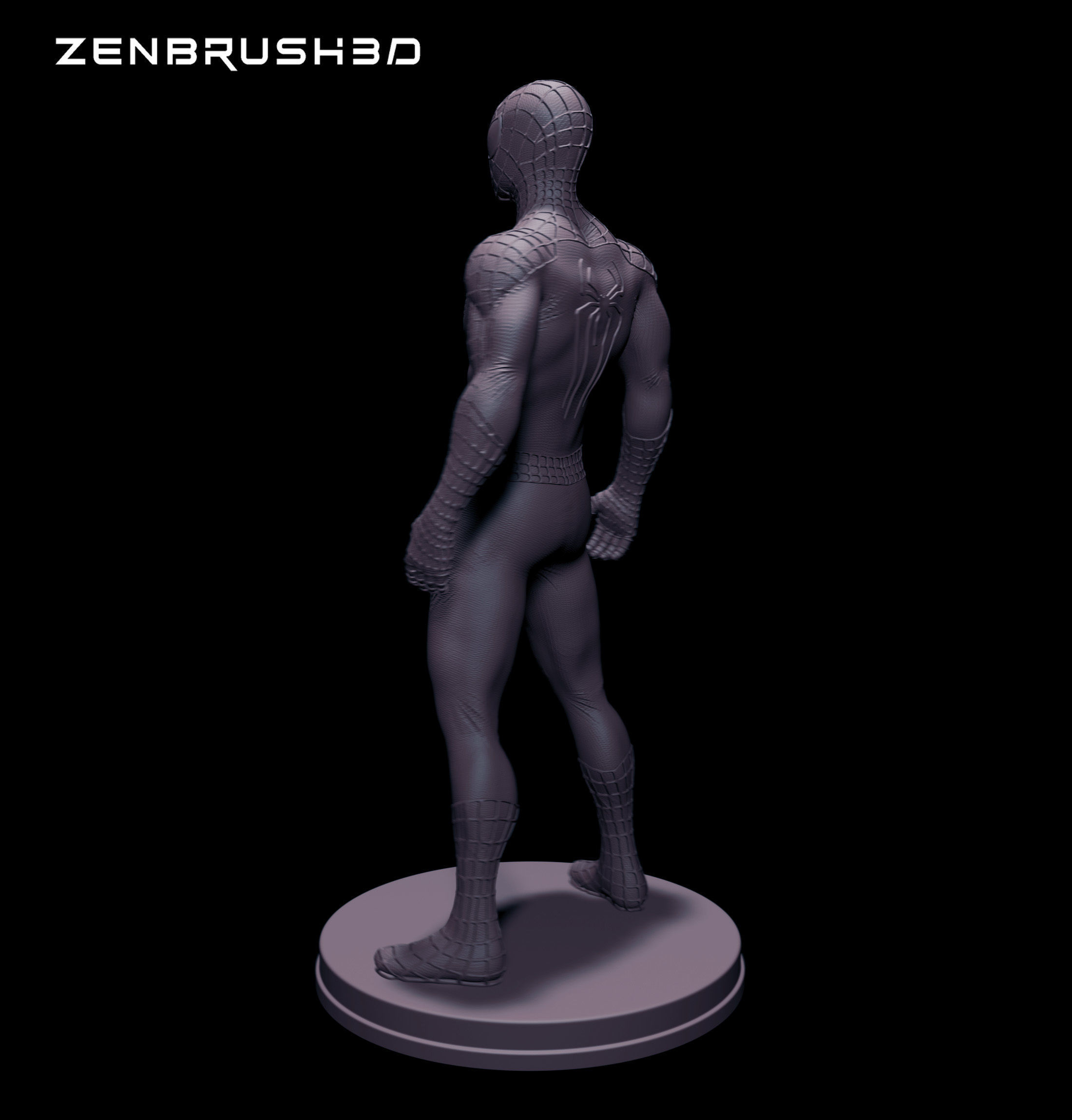 THE AMAZING SPIDERMAN 3D print model_2