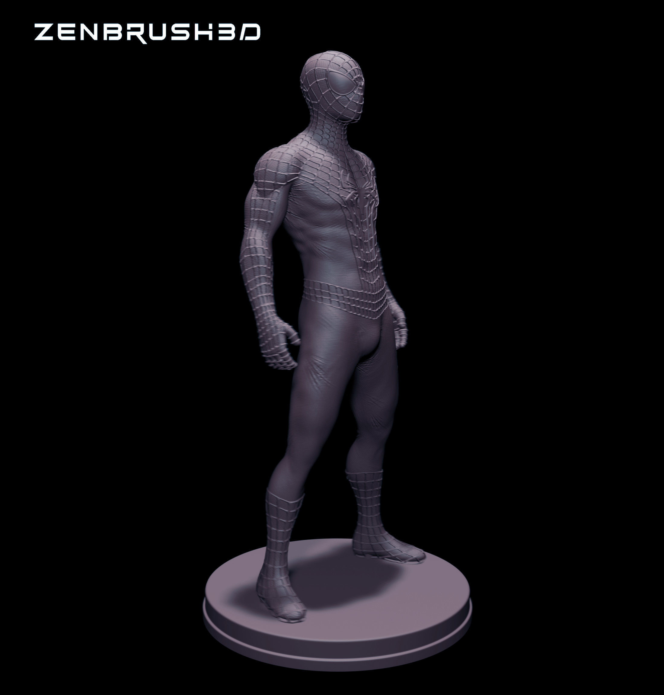 THE AMAZING SPIDERMAN 3D print model_3