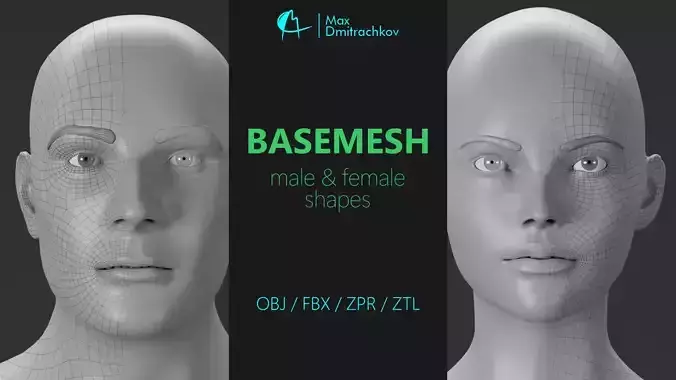Basemesh Male and Female Shape