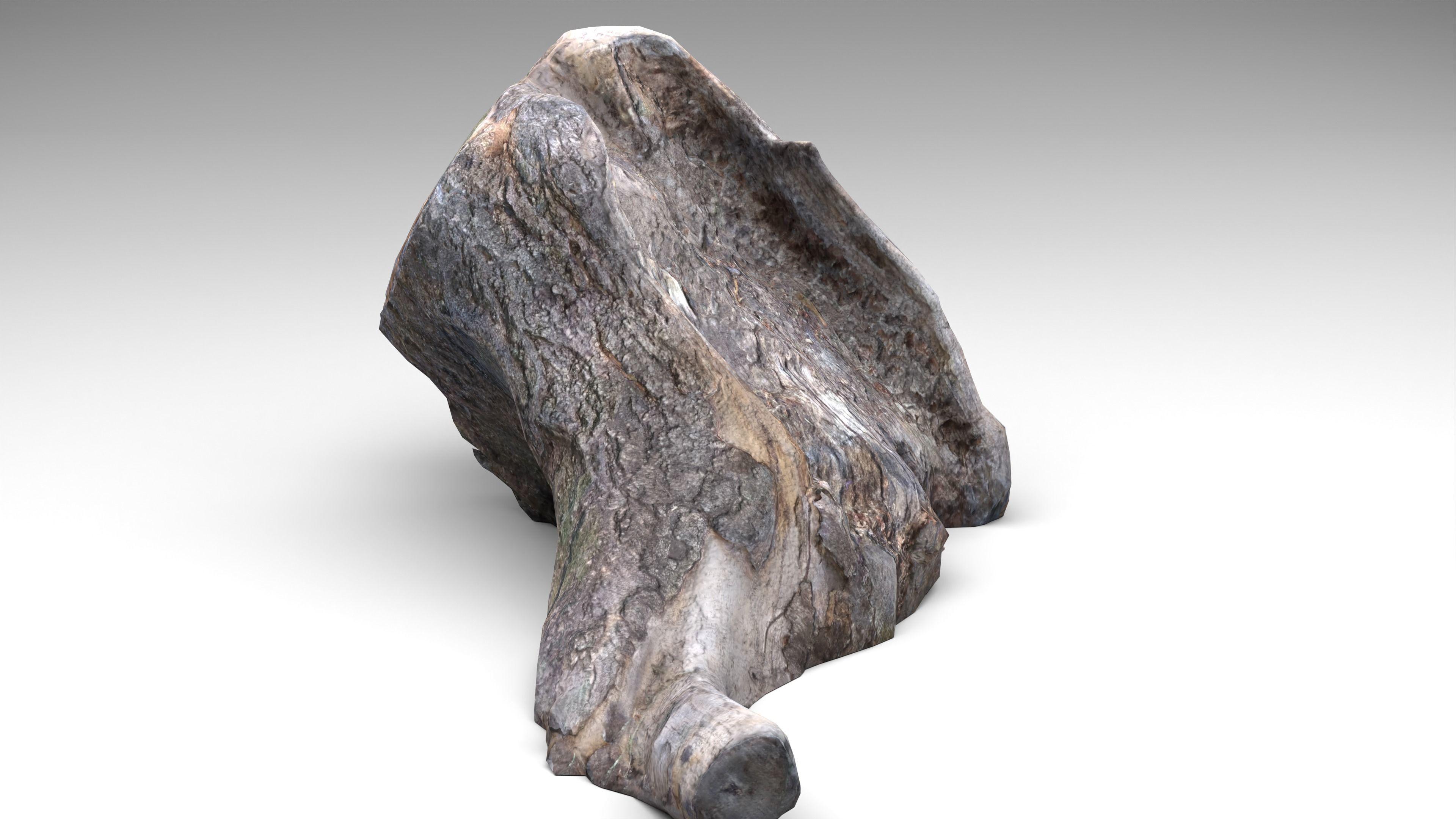 Tree Stump 006 Photoscan PBR Game Ready Low-poly 3D model_23