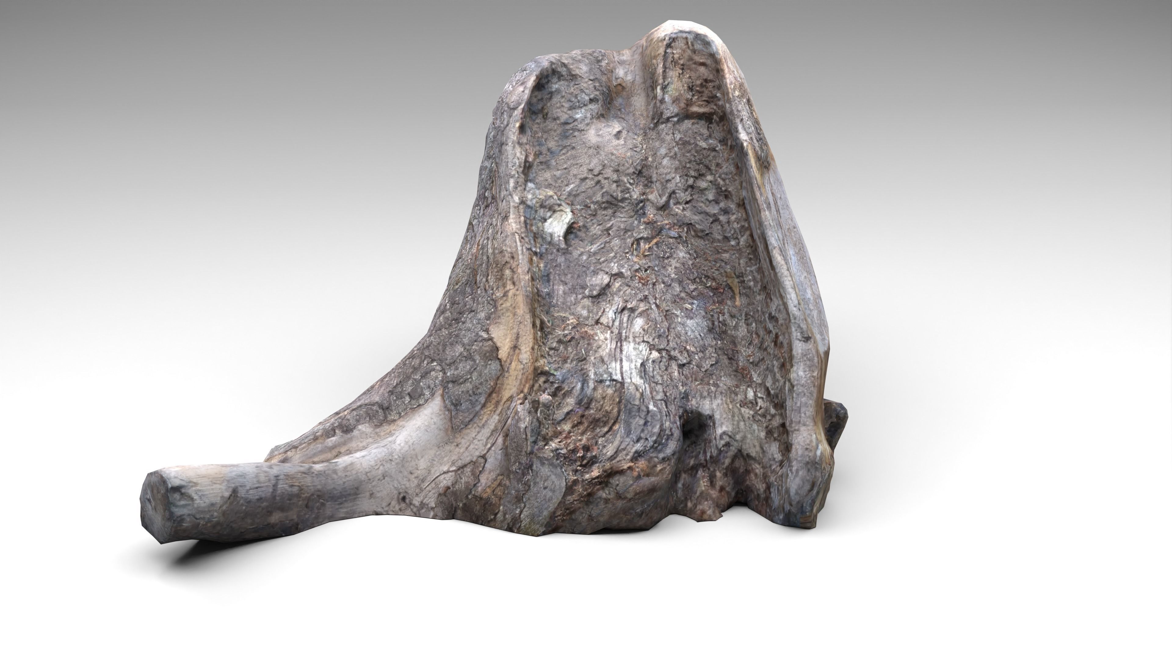 Tree Stump 006 Photoscan PBR Game Ready Low-poly 3D model_19