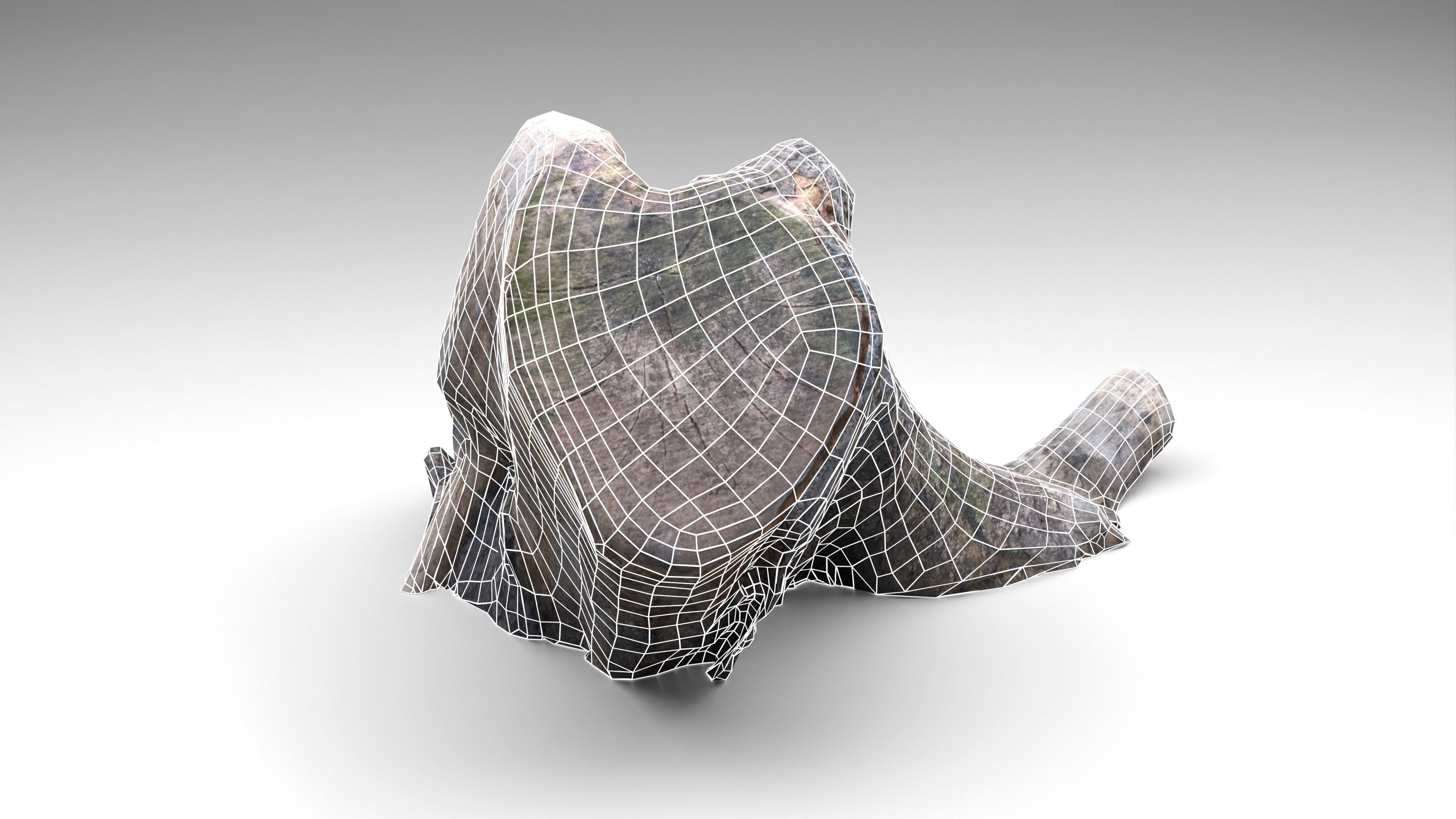 Tree Stump 006 Photoscan PBR Game Ready Low-poly 3D model_8