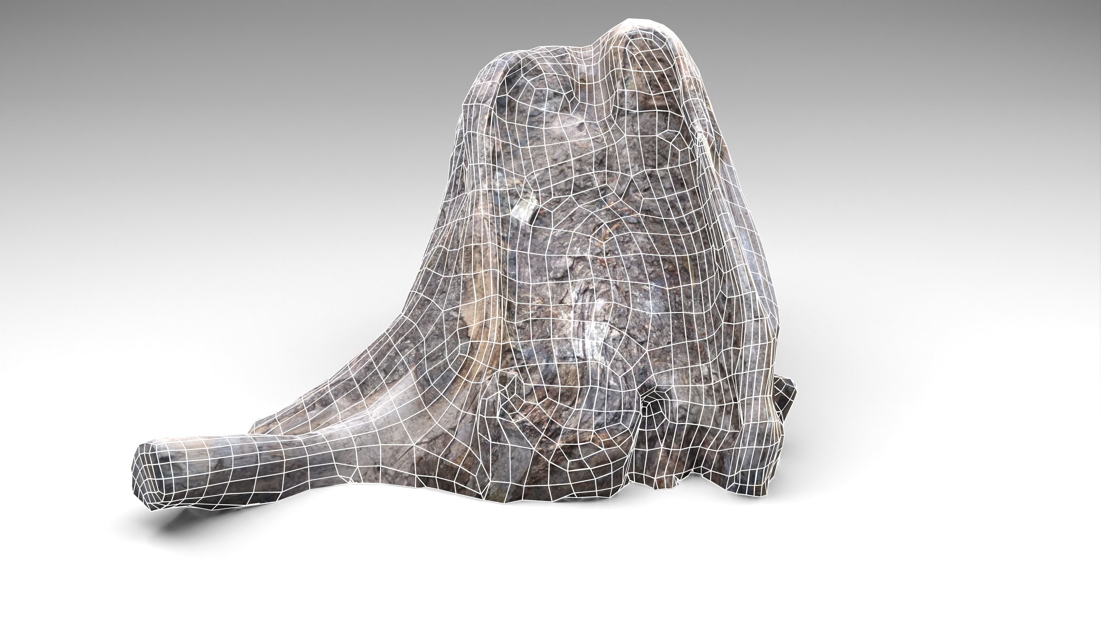 Tree Stump 006 Photoscan PBR Game Ready Low-poly 3D model_20