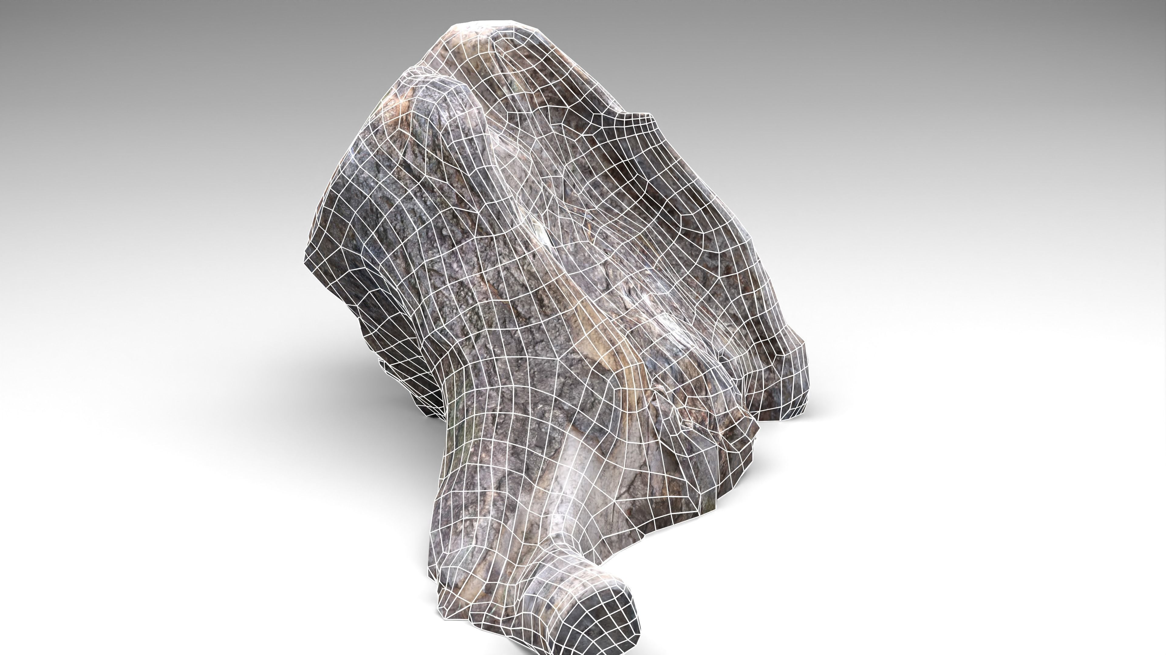 Tree Stump 006 Photoscan PBR Game Ready Low-poly 3D model_24