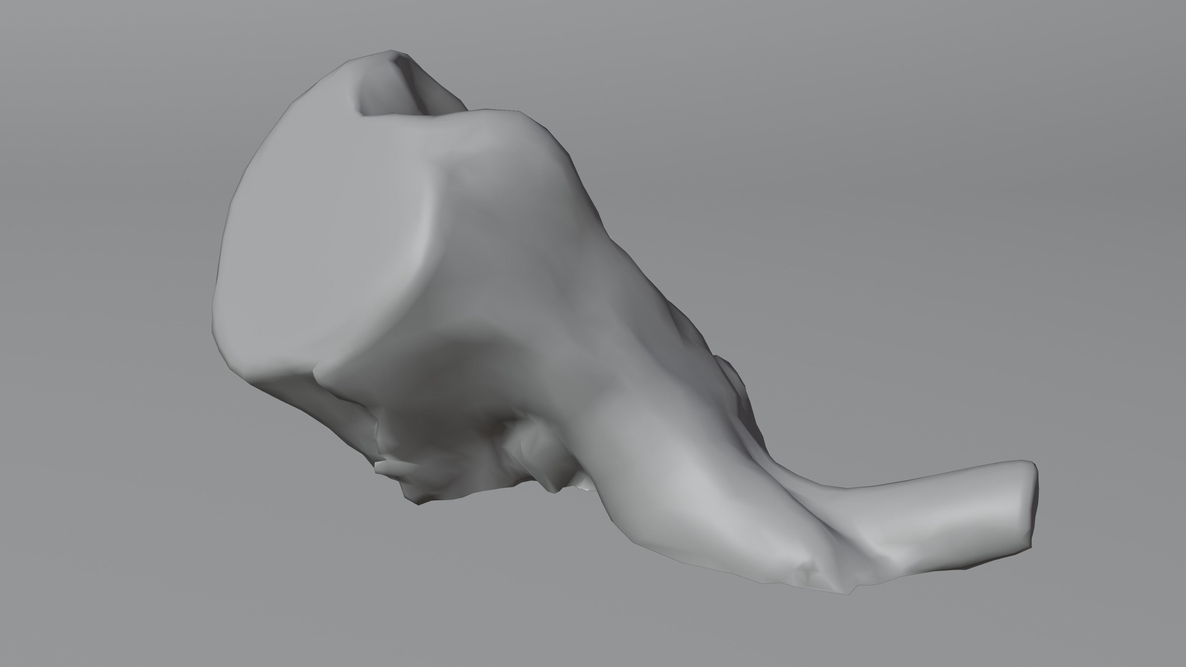 Tree Stump 006 Photoscan PBR Game Ready Low-poly 3D model_5