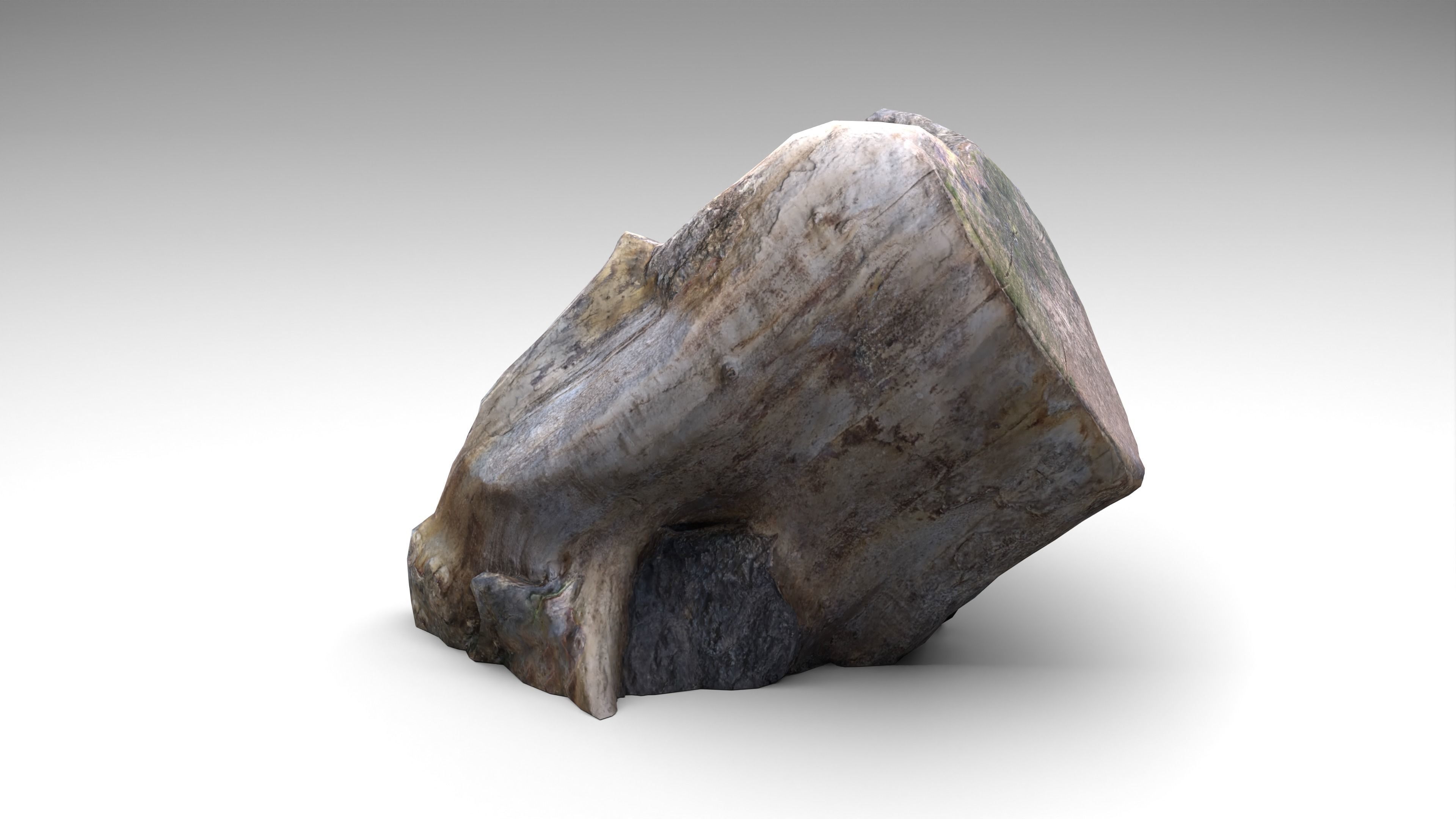 Tree Stump 006 Photoscan PBR Game Ready Low-poly 3D model_11