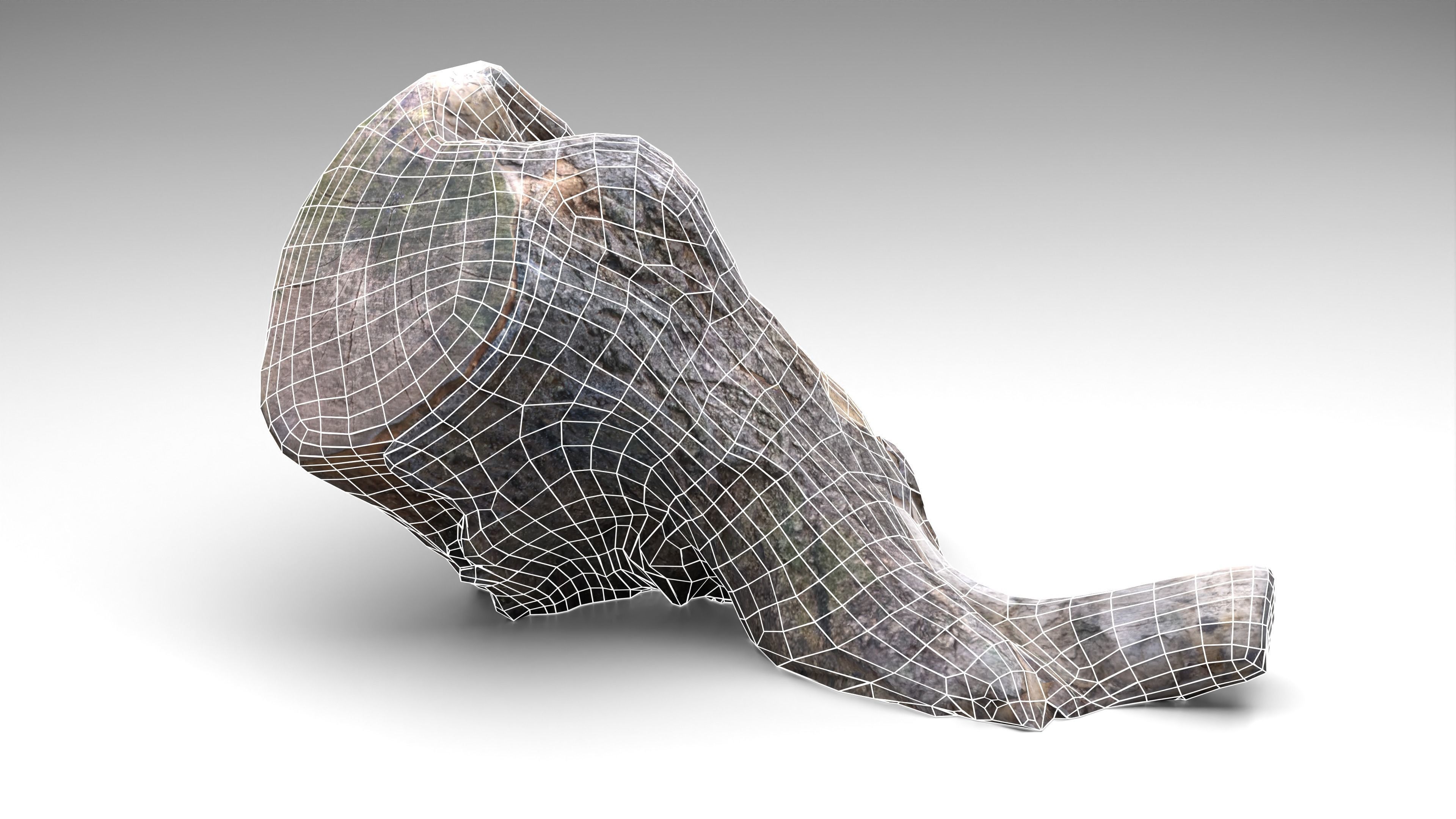 Tree Stump 006 Photoscan PBR Game Ready Low-poly 3D model_4