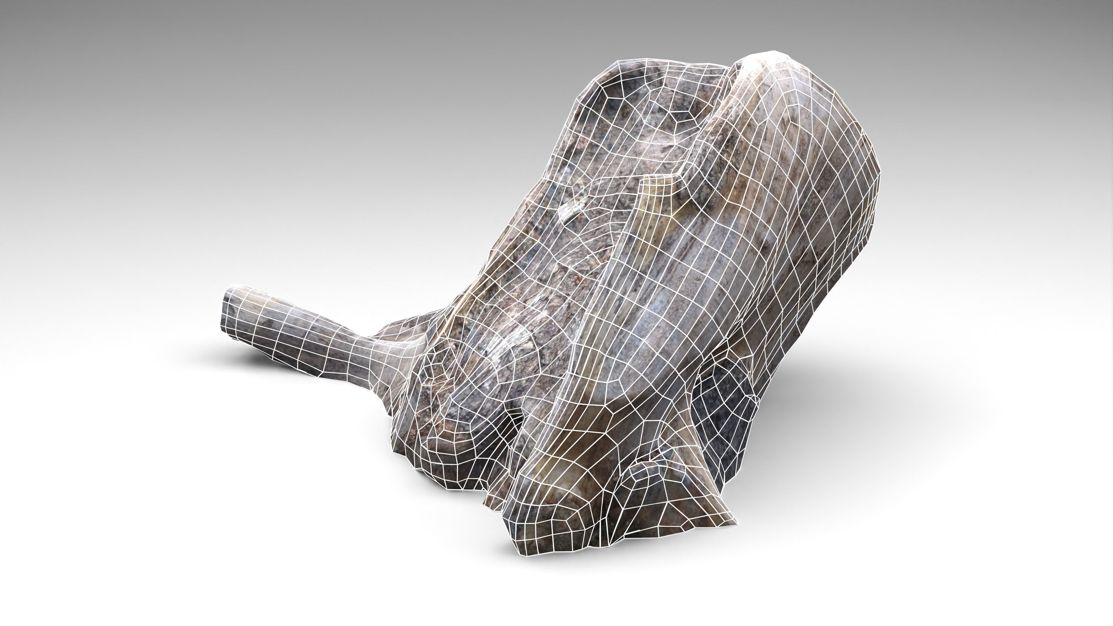 Tree Stump 006 Photoscan PBR Game Ready Low-poly 3D model_16