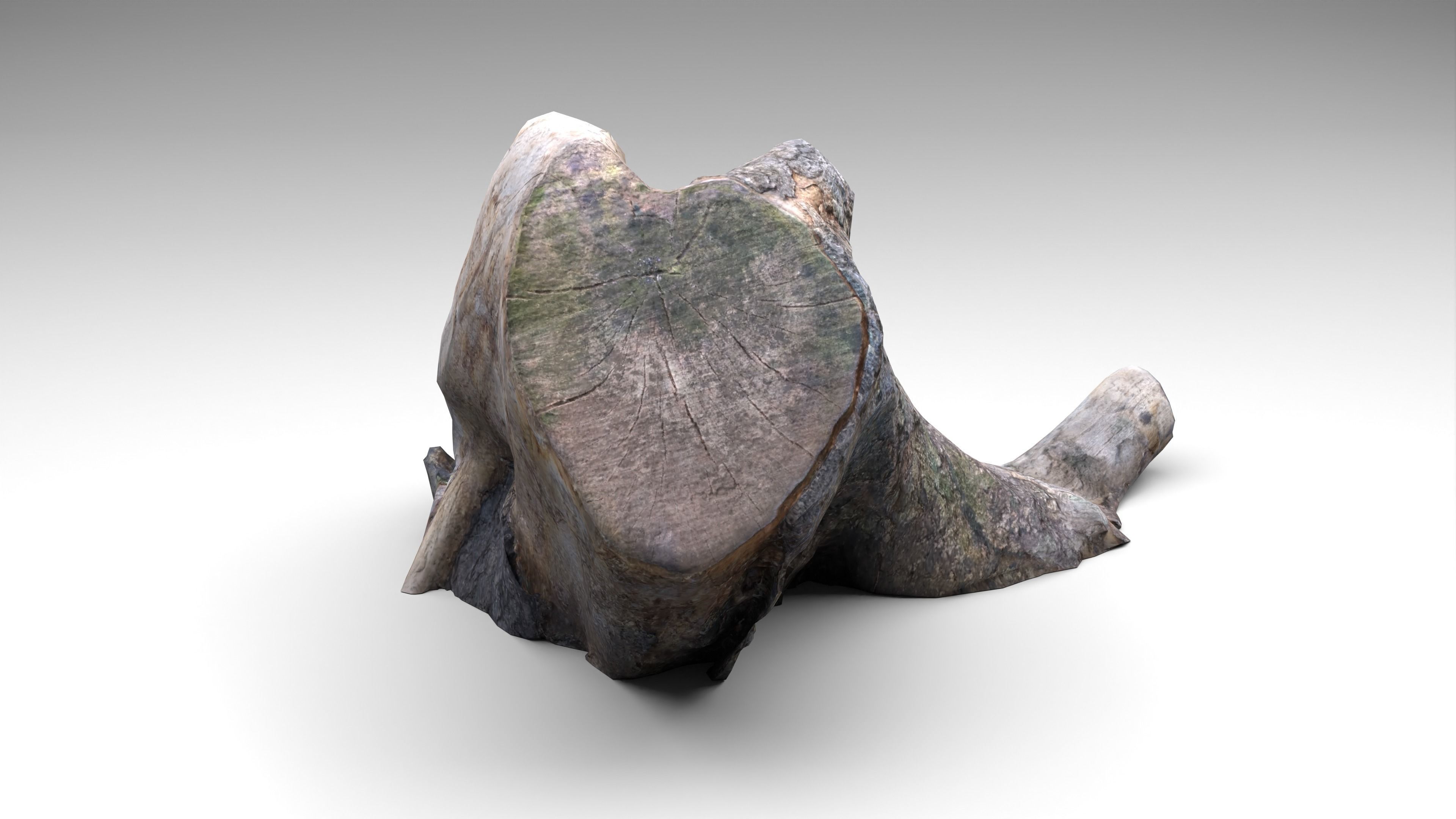 Tree Stump 006 Photoscan PBR Game Ready Low-poly 3D model_7