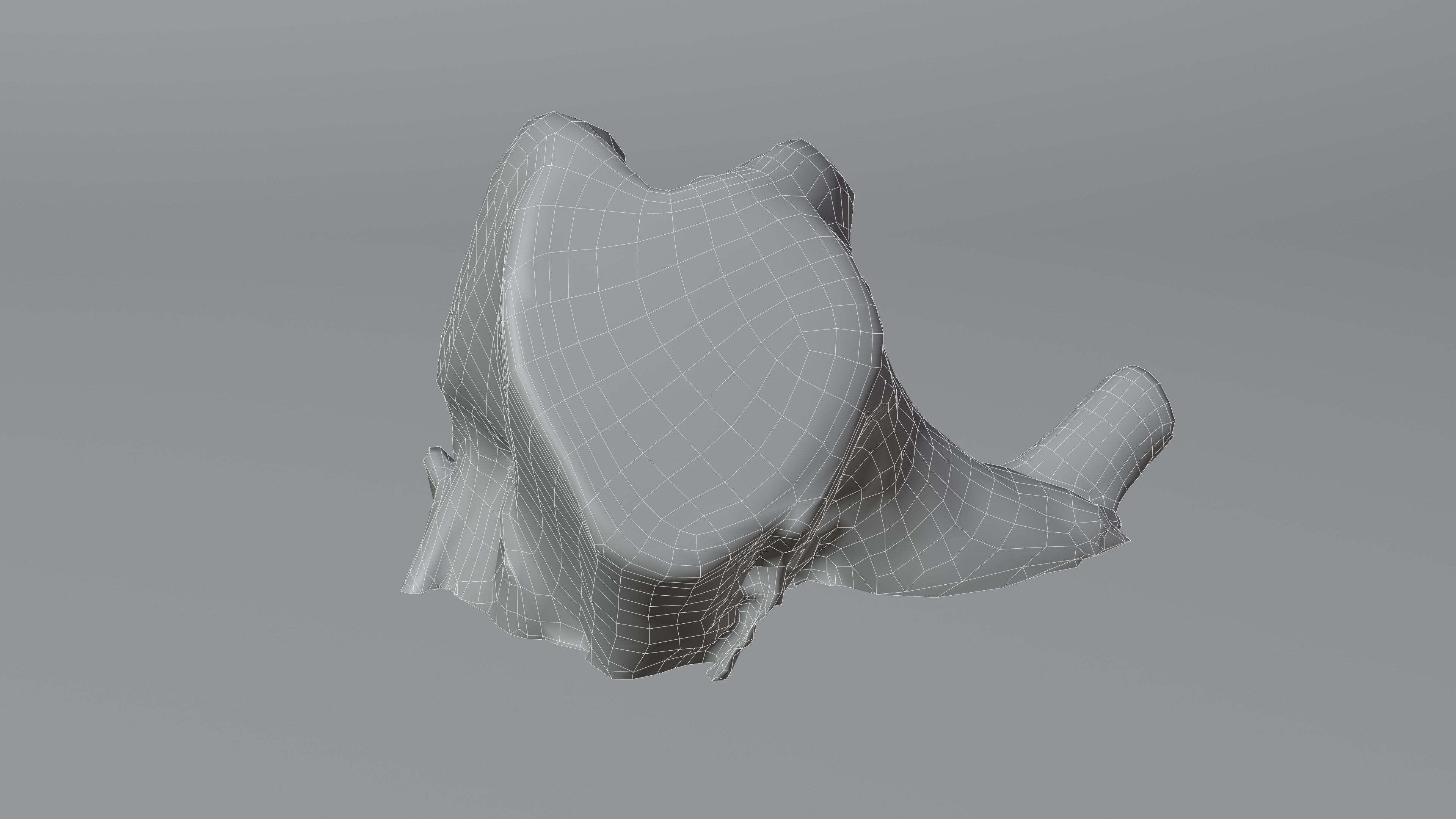 Tree Stump 006 Photoscan PBR Game Ready Low-poly 3D model_10