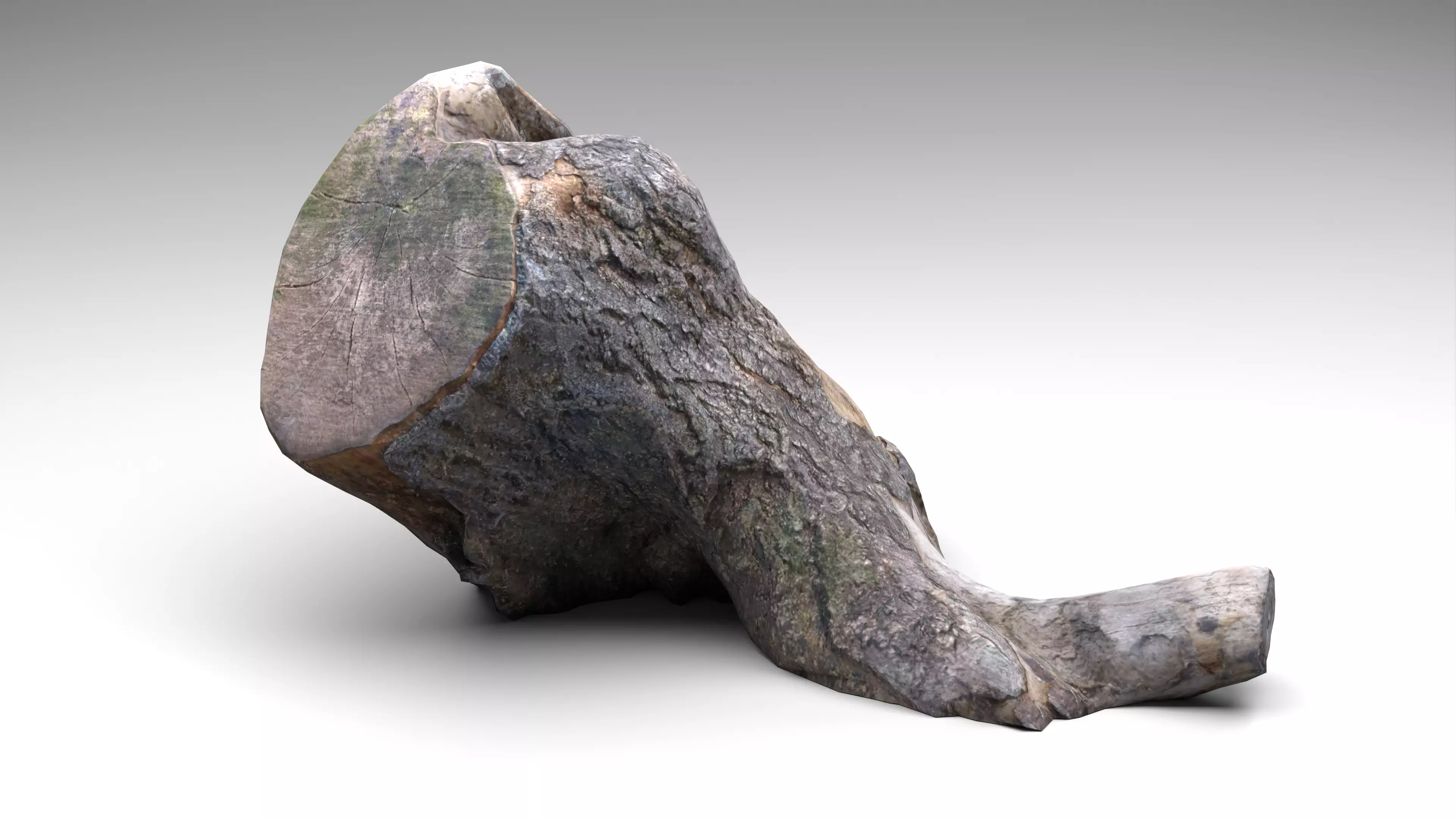 Tree Stump 006 Photoscan PBR Game Ready Low-poly 3D model_0