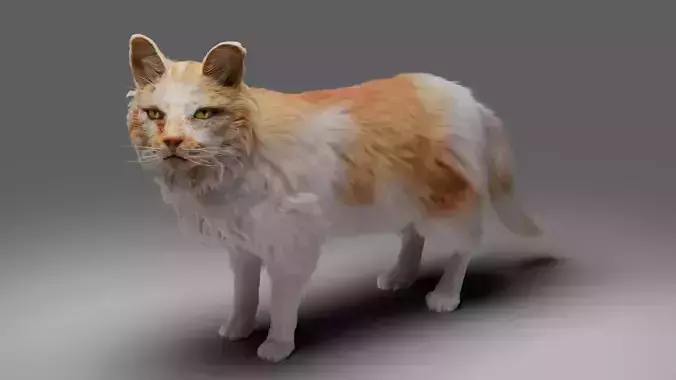 Fur Cat Calico  V02 Rigged