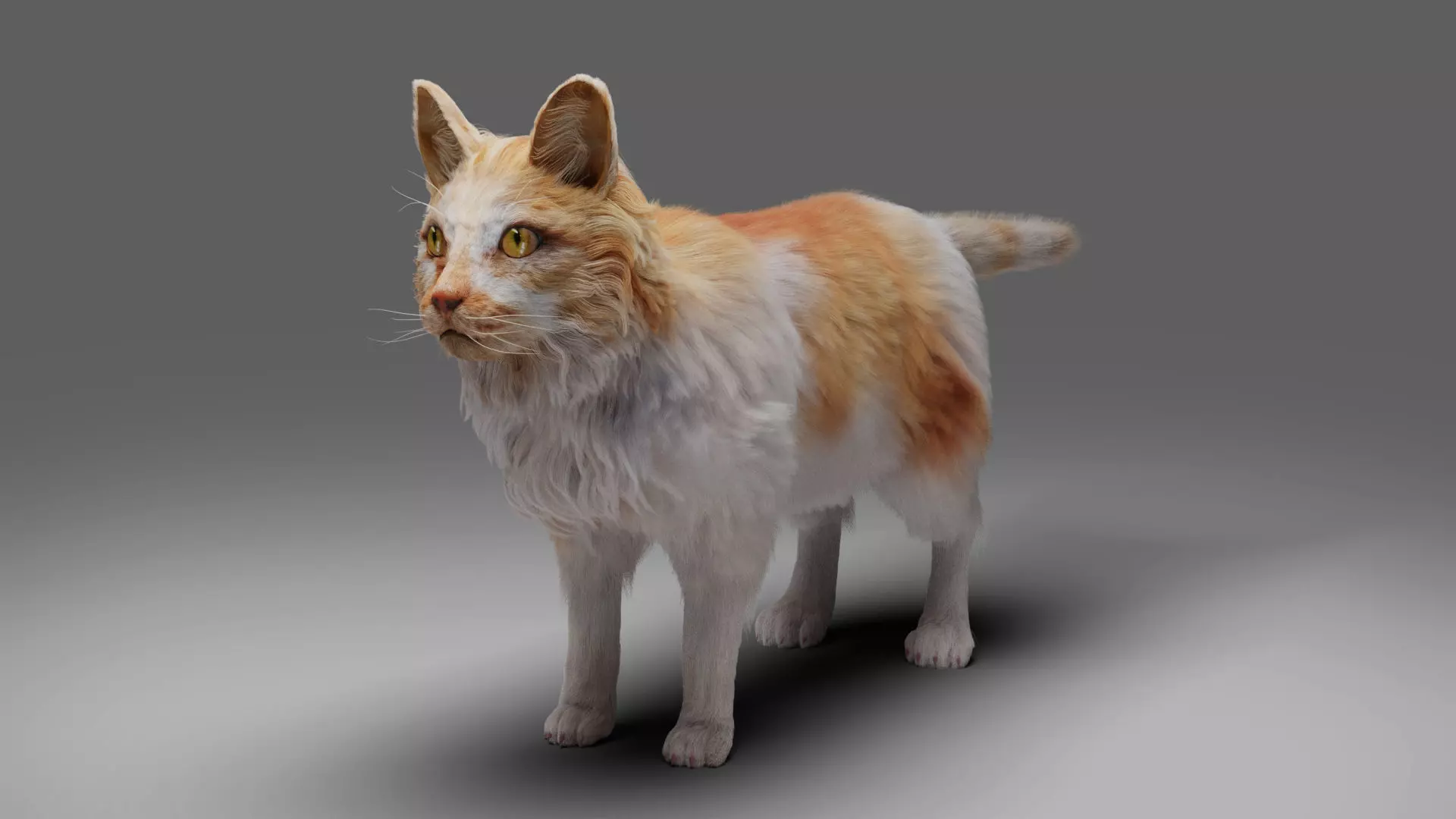 Fur Calico Cat V02 No Rigged Low-poly 3D model_0