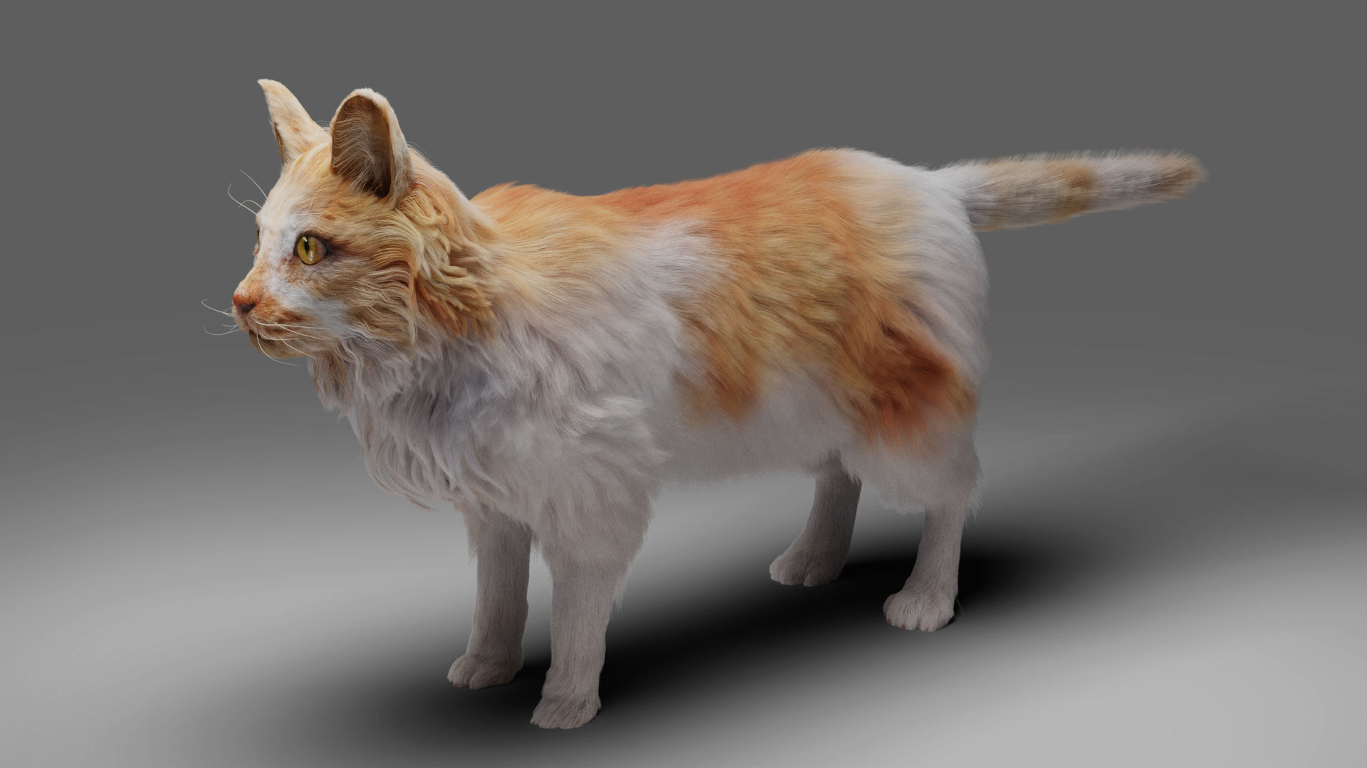 Fur Calico Cat V02 No Rigged Low-poly 3D model_1