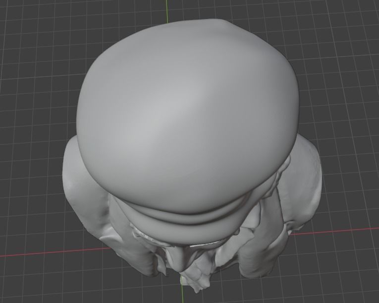 Carl Friedrich Gauss 3D print model_9