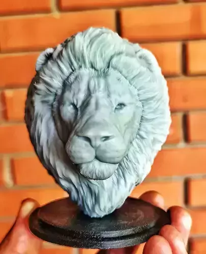 Lion Head and picture