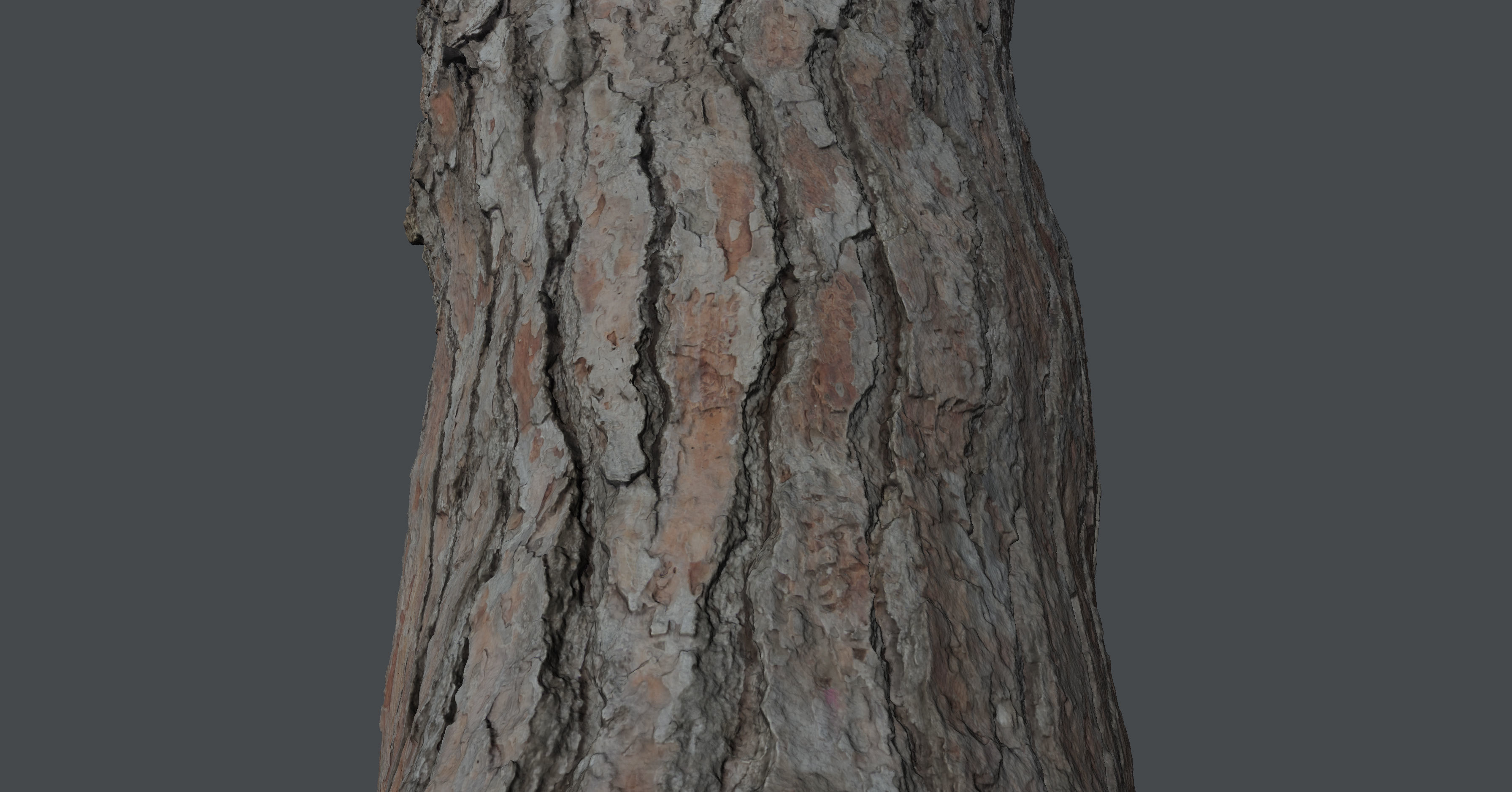 Pinetreetrunk02 tree stump 3D model_6